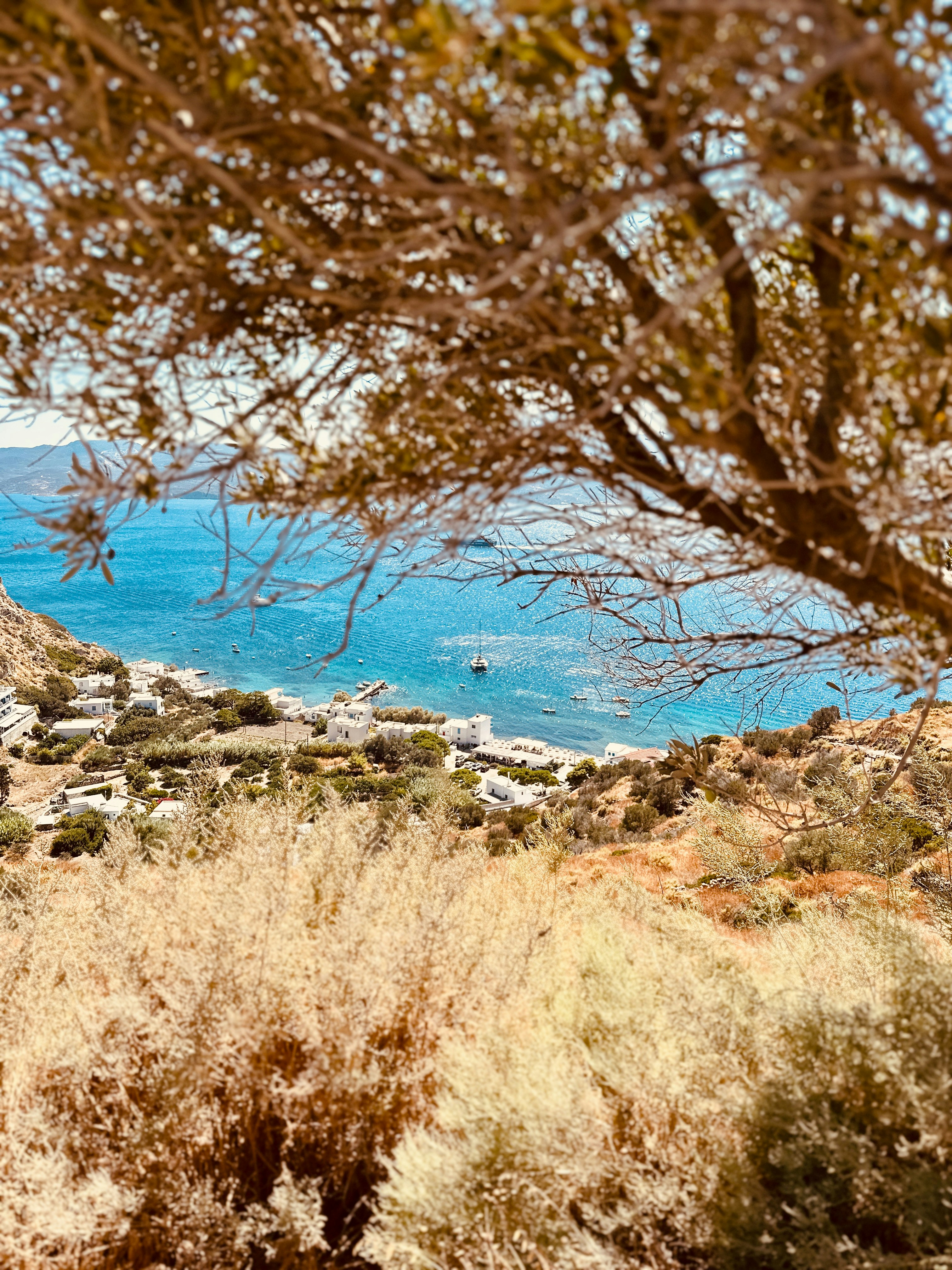 Photo by florianschmid