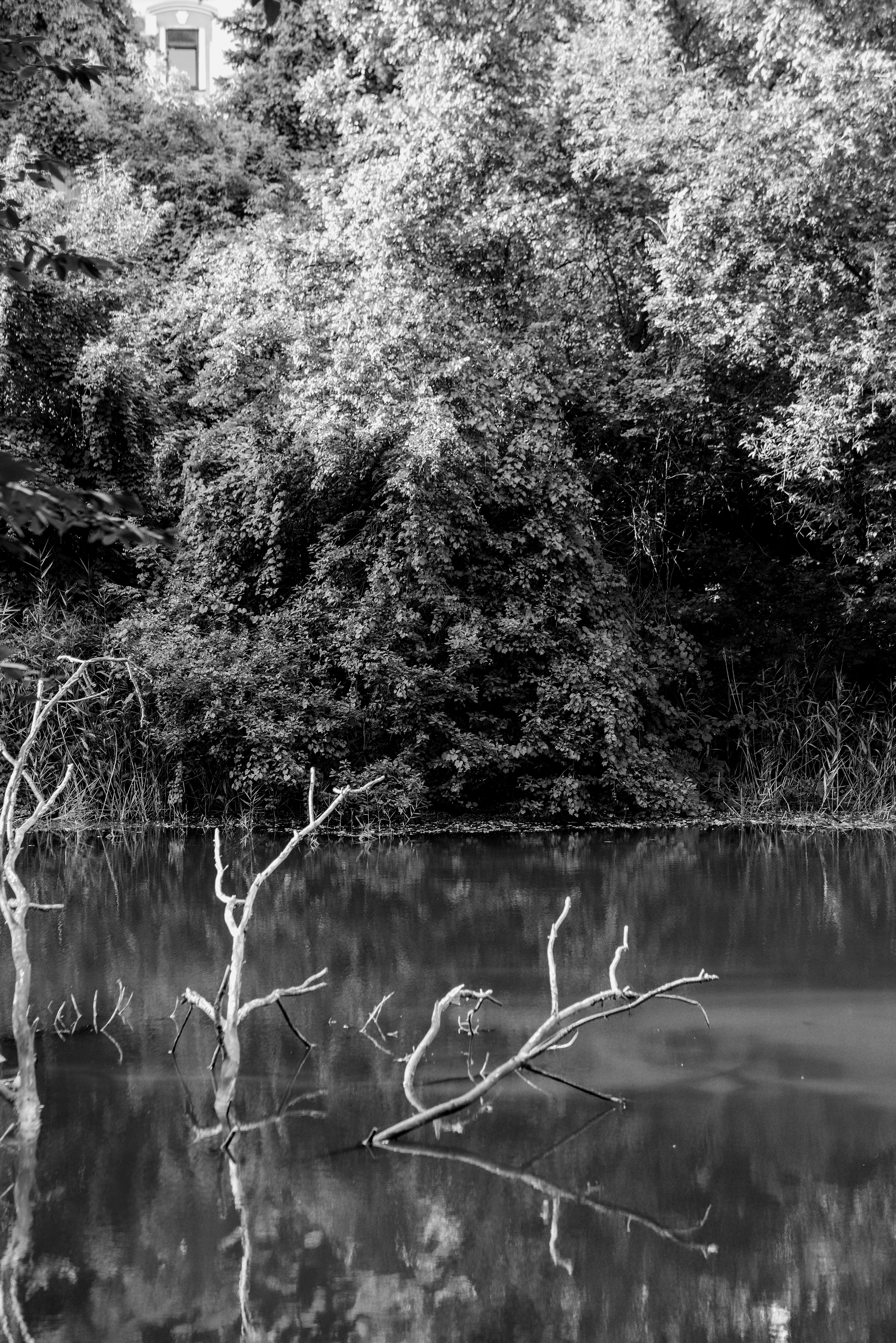 Photo by eugenivy_now