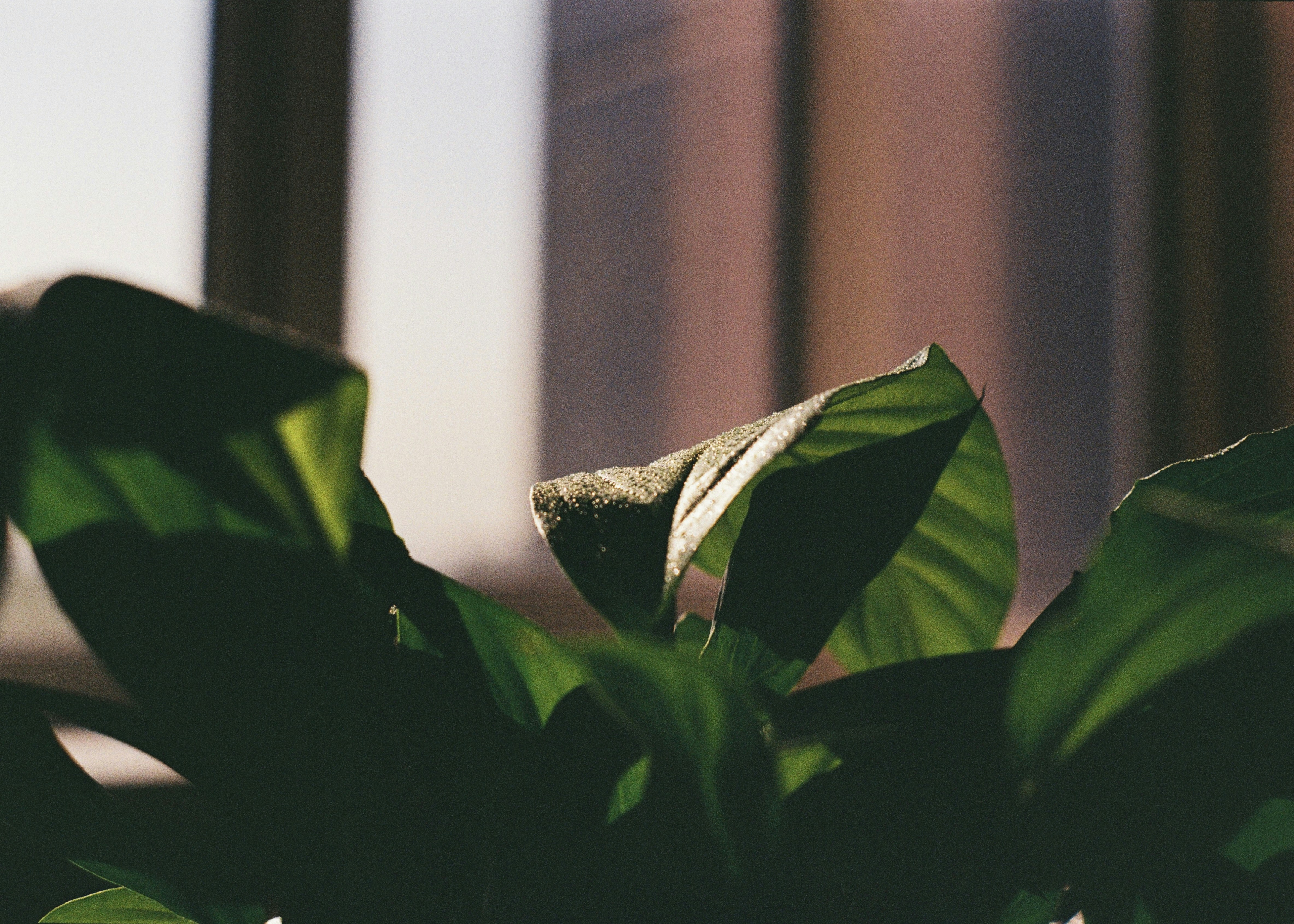 Photo by dmitrii_filatov