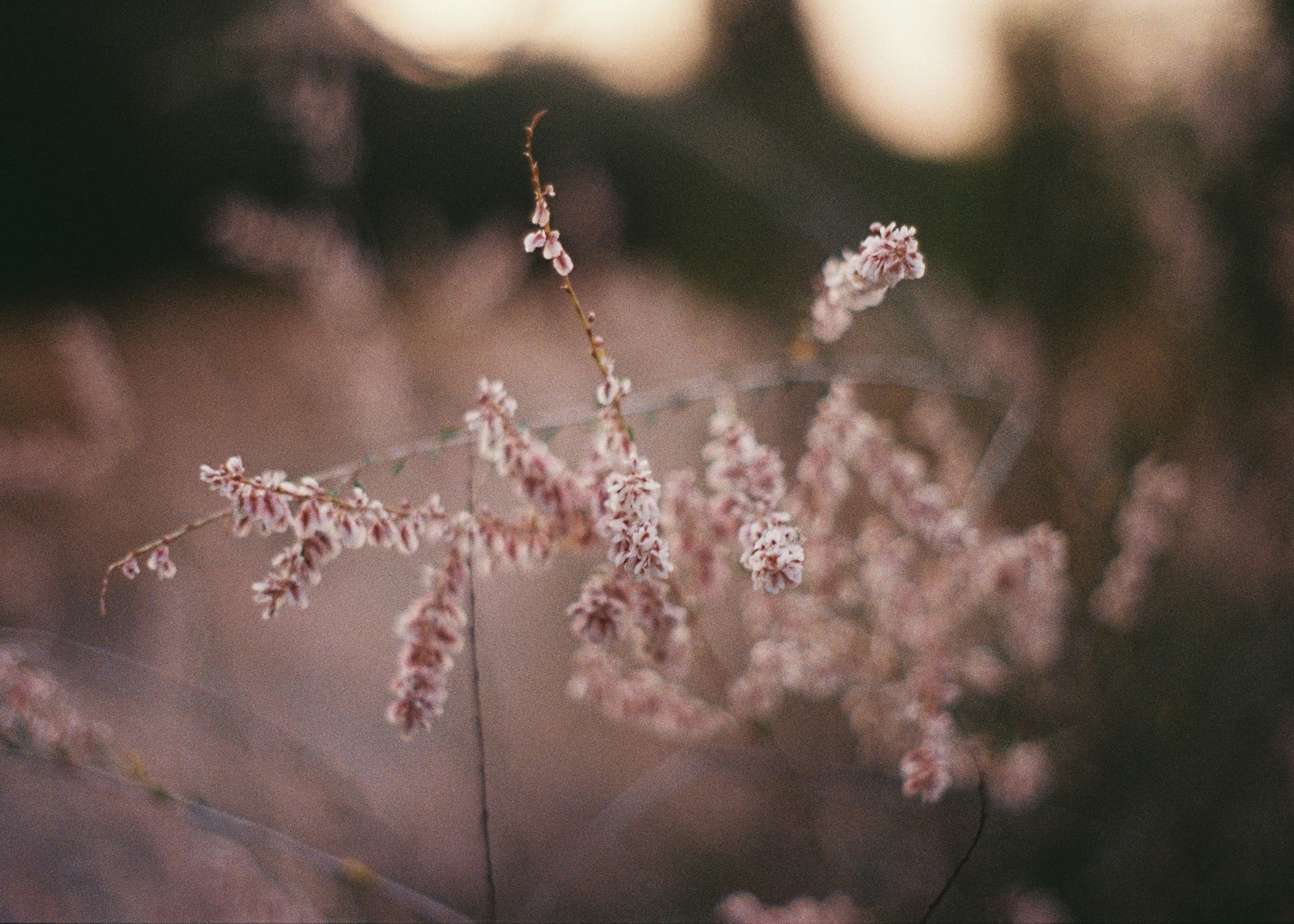 Photo by dmitrii_filatov