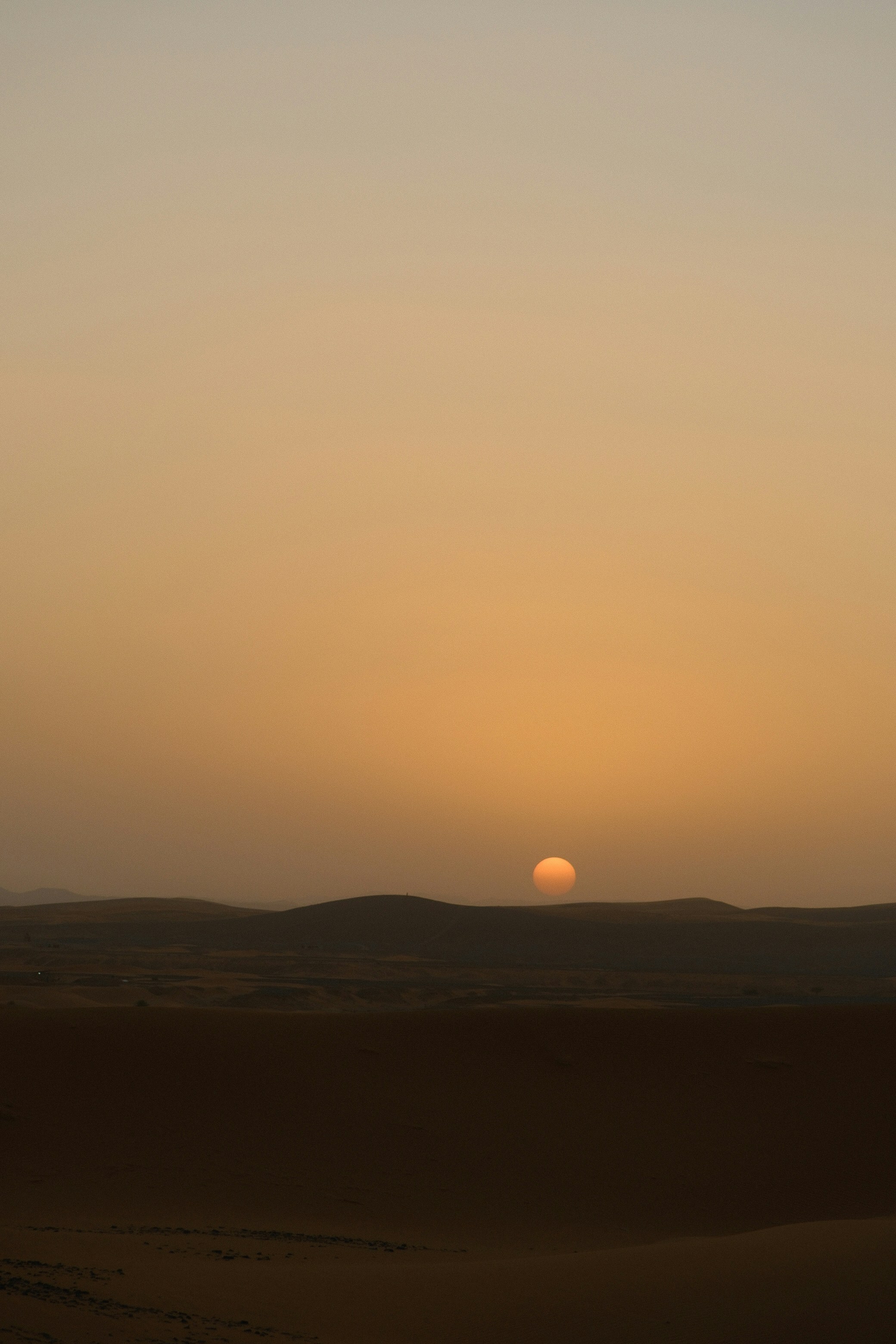 Photo by raulmermans