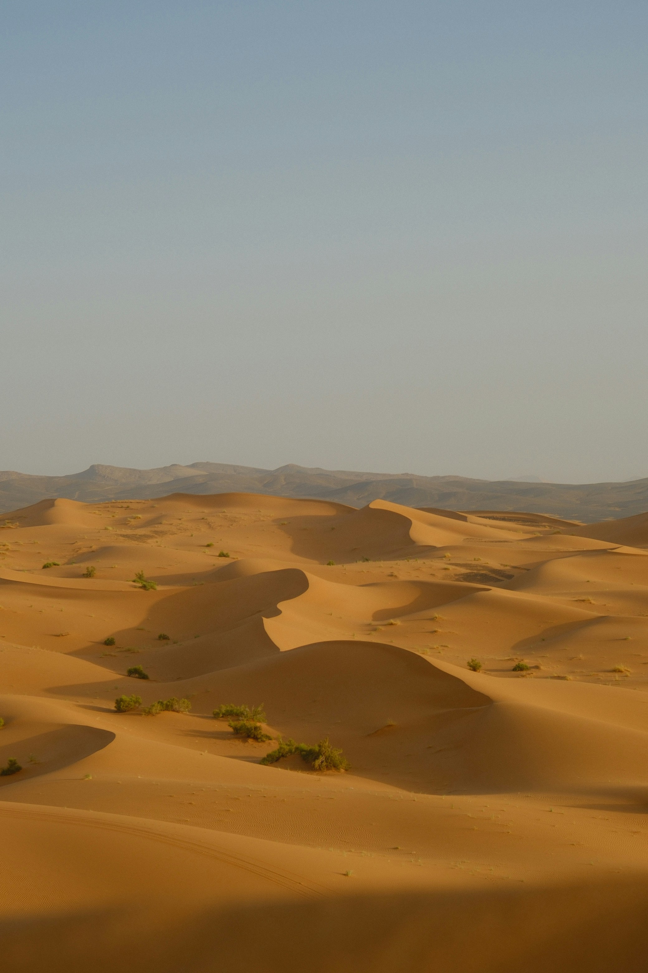 Photo by raulmermans