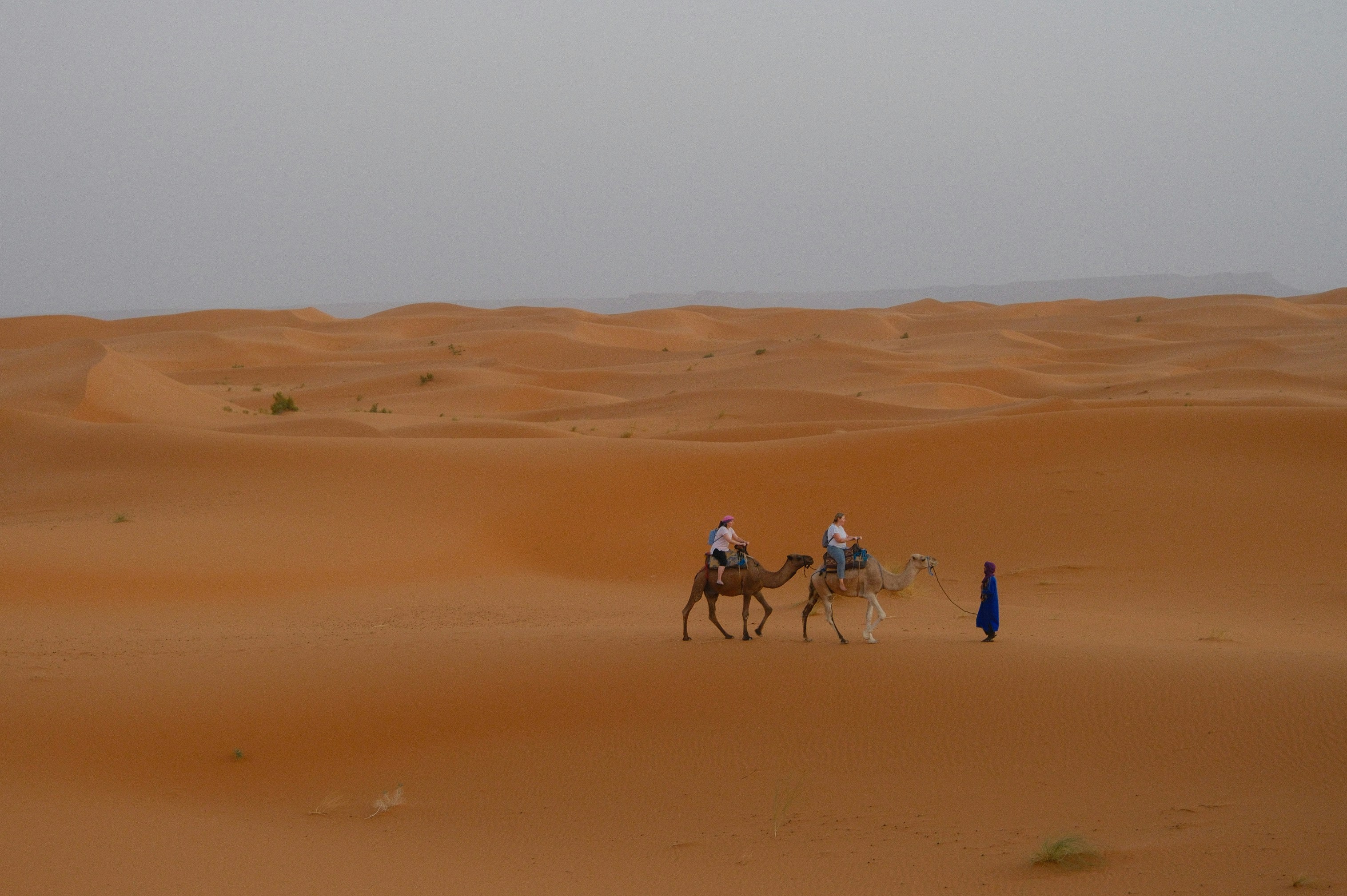 Two people riding camels in a vast desert landscape.