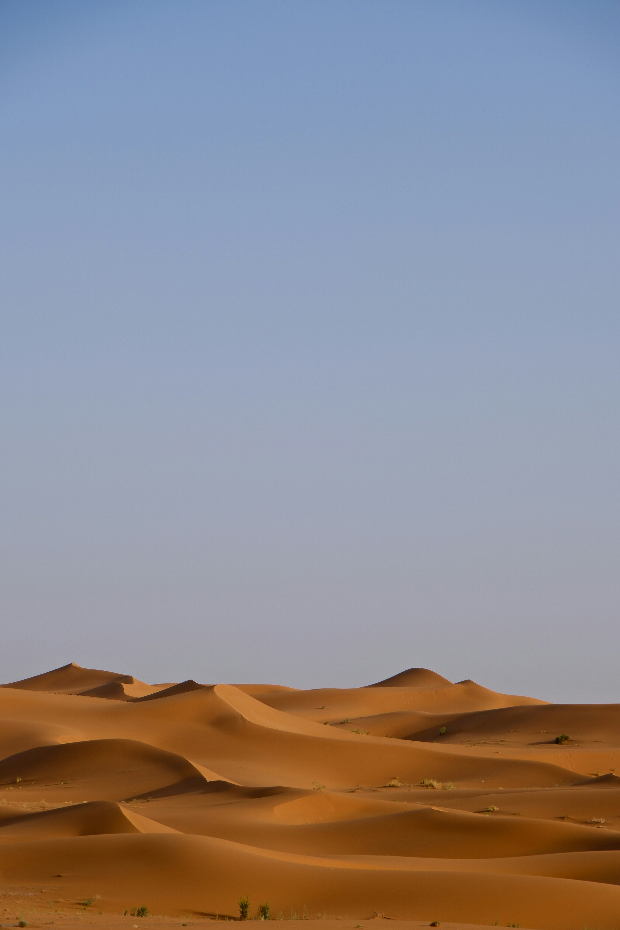 Photo by raulmermans