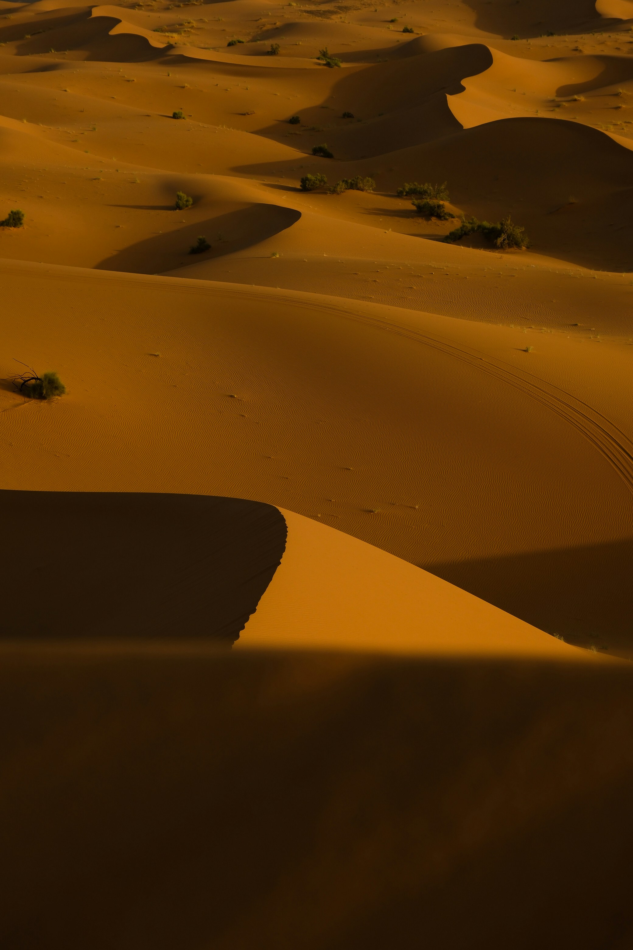 Photo by raulmermans