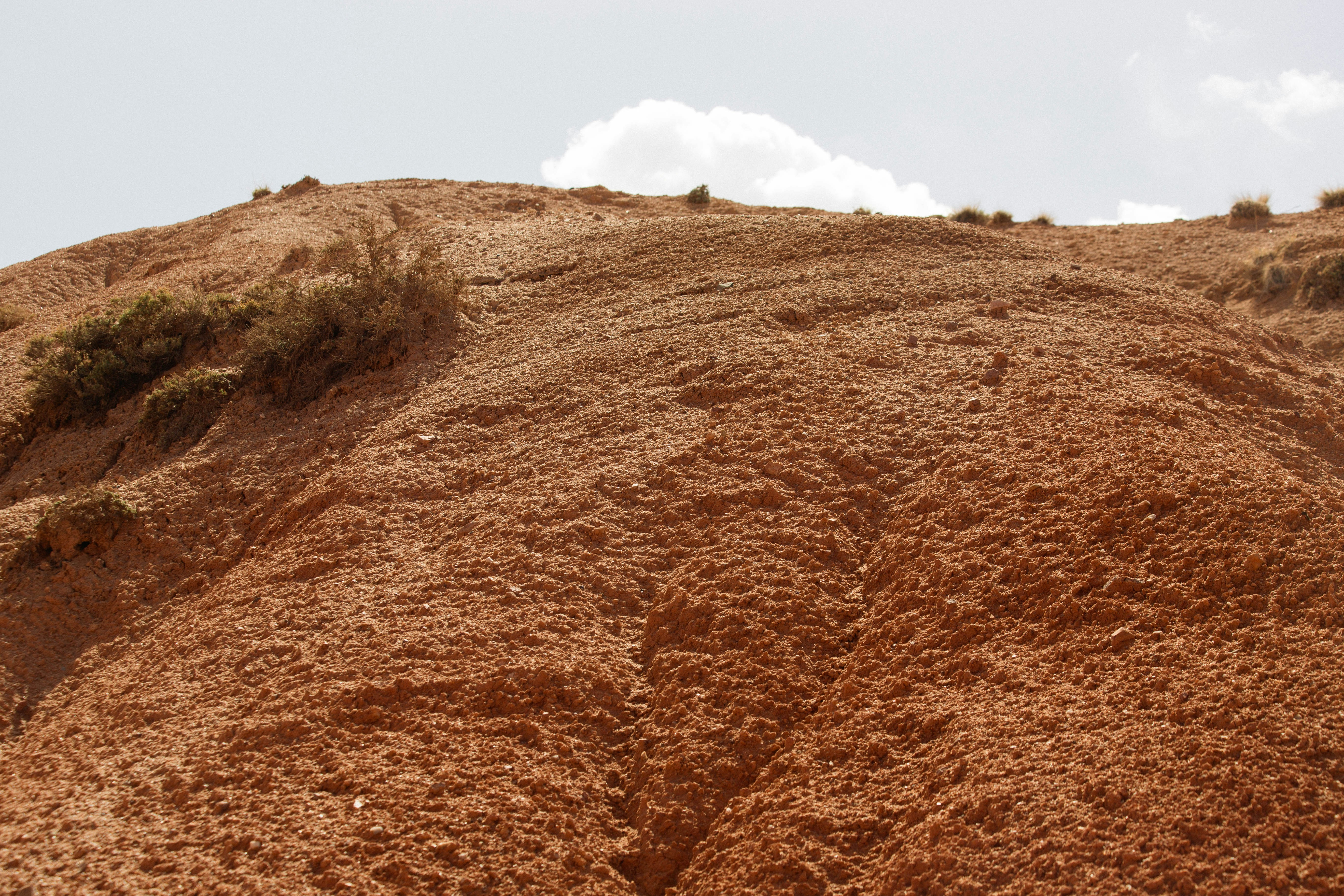 Arid landscape with dry earth and sparse vegetation.