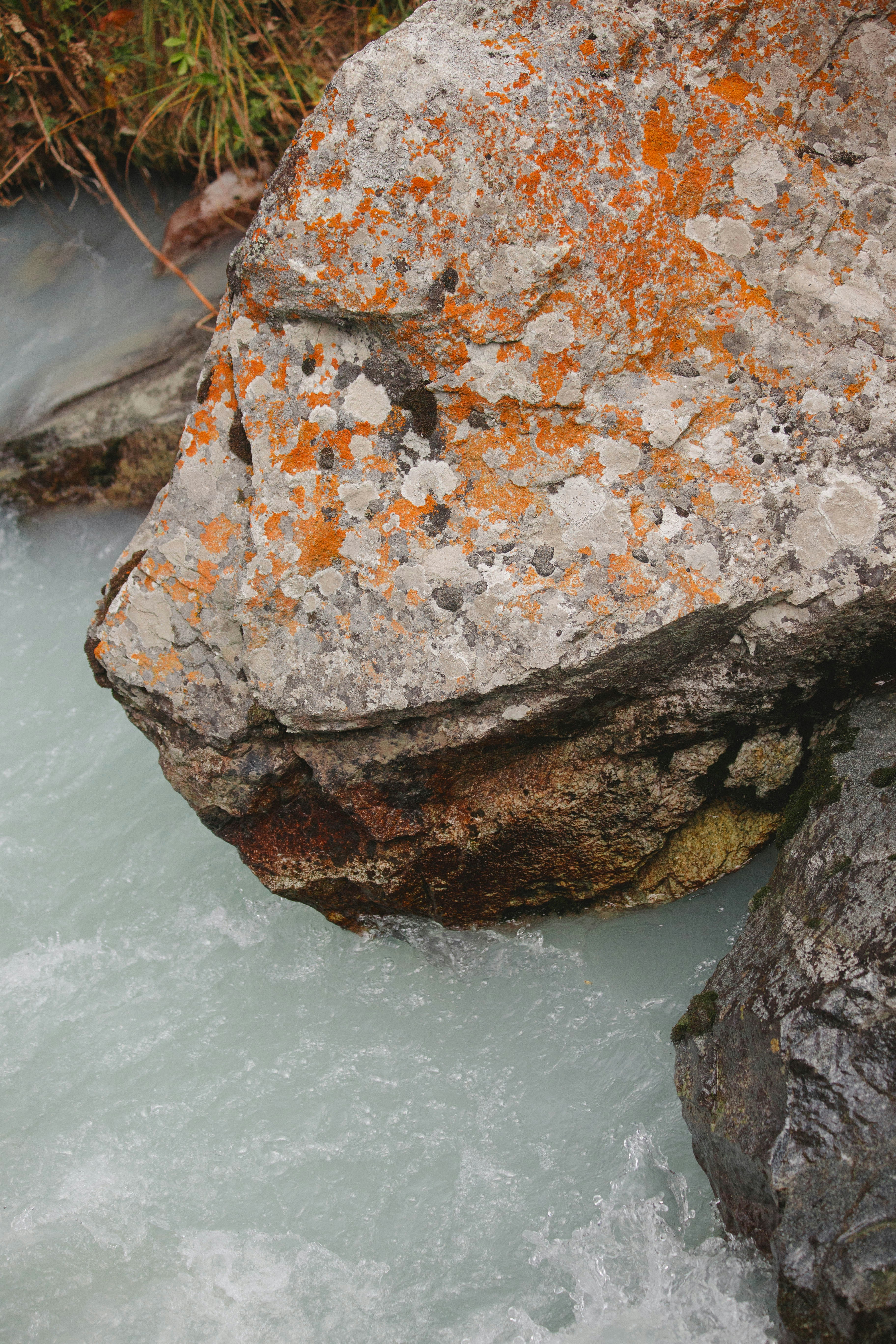 Orange lichen on a large rock by flowing water.