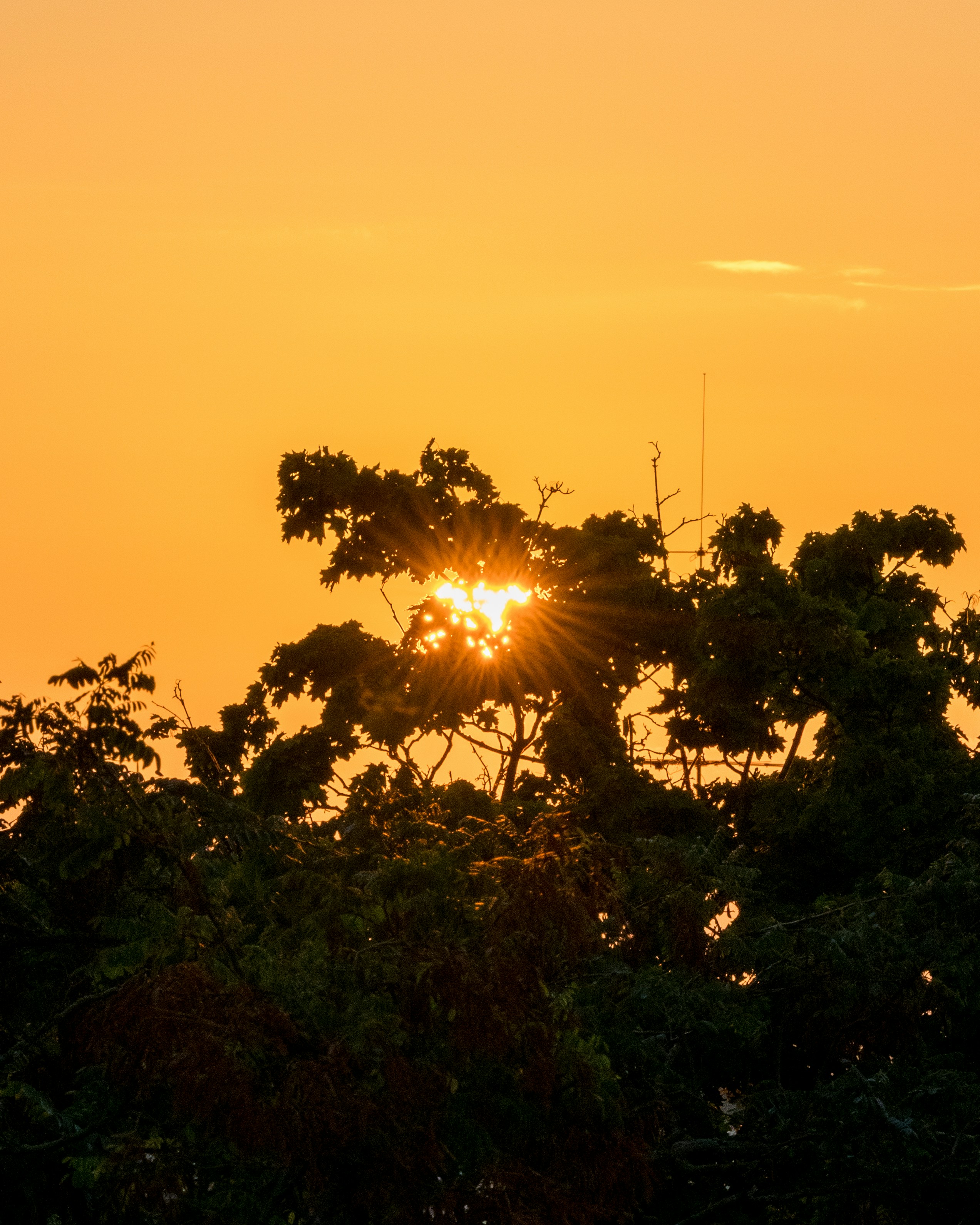 Photo by bangscreative