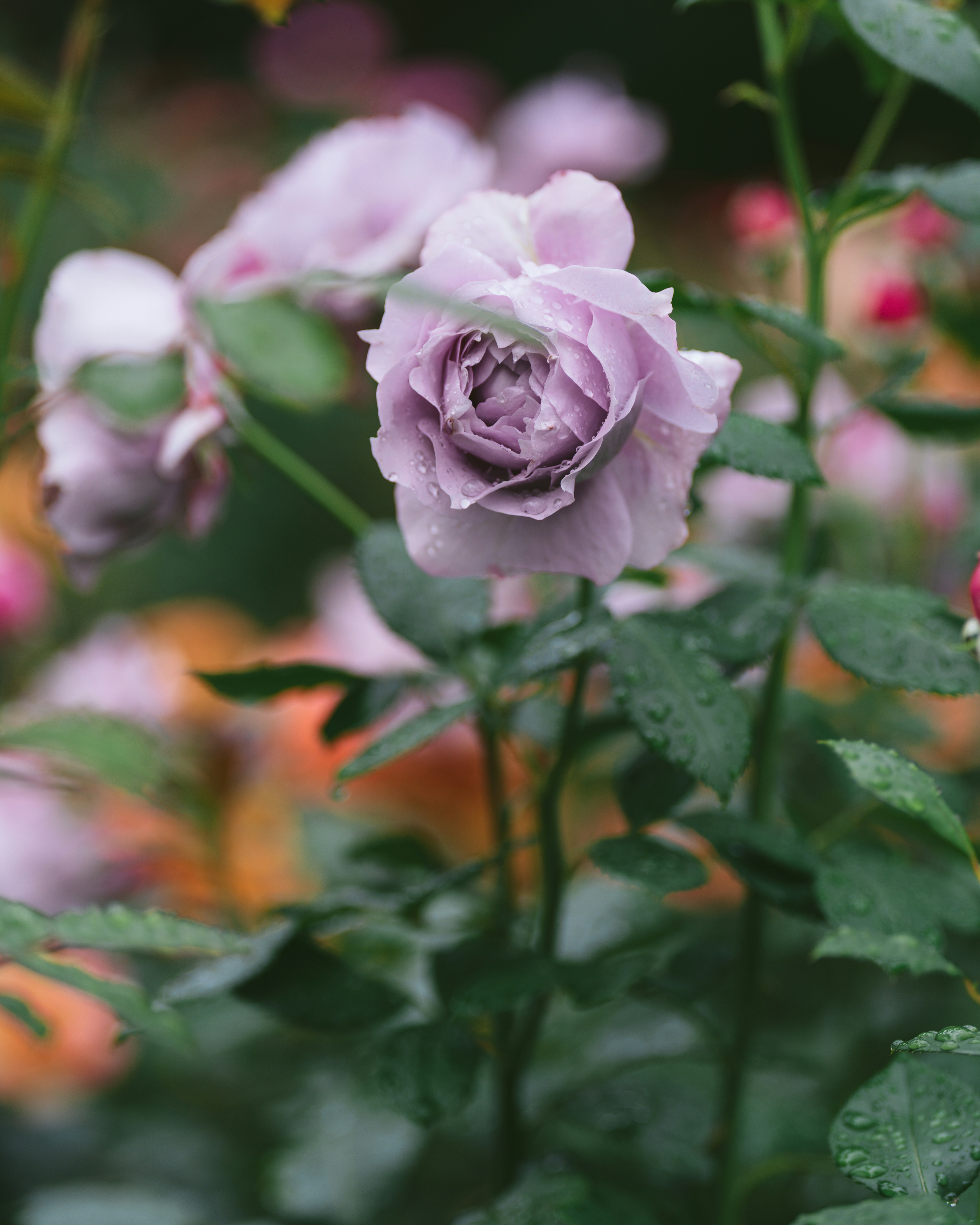 Photo by bangscreative