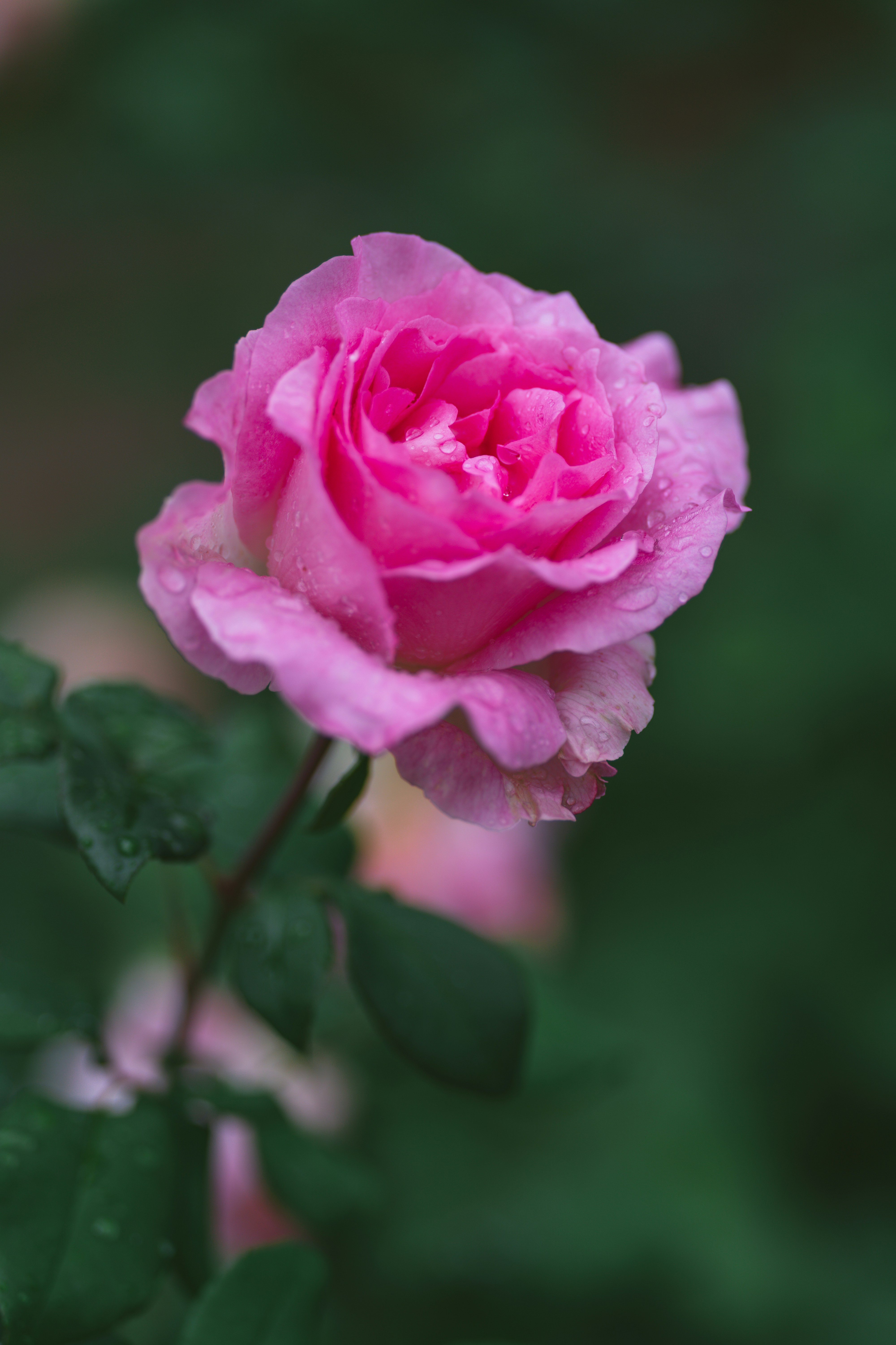 Photo by bangscreative