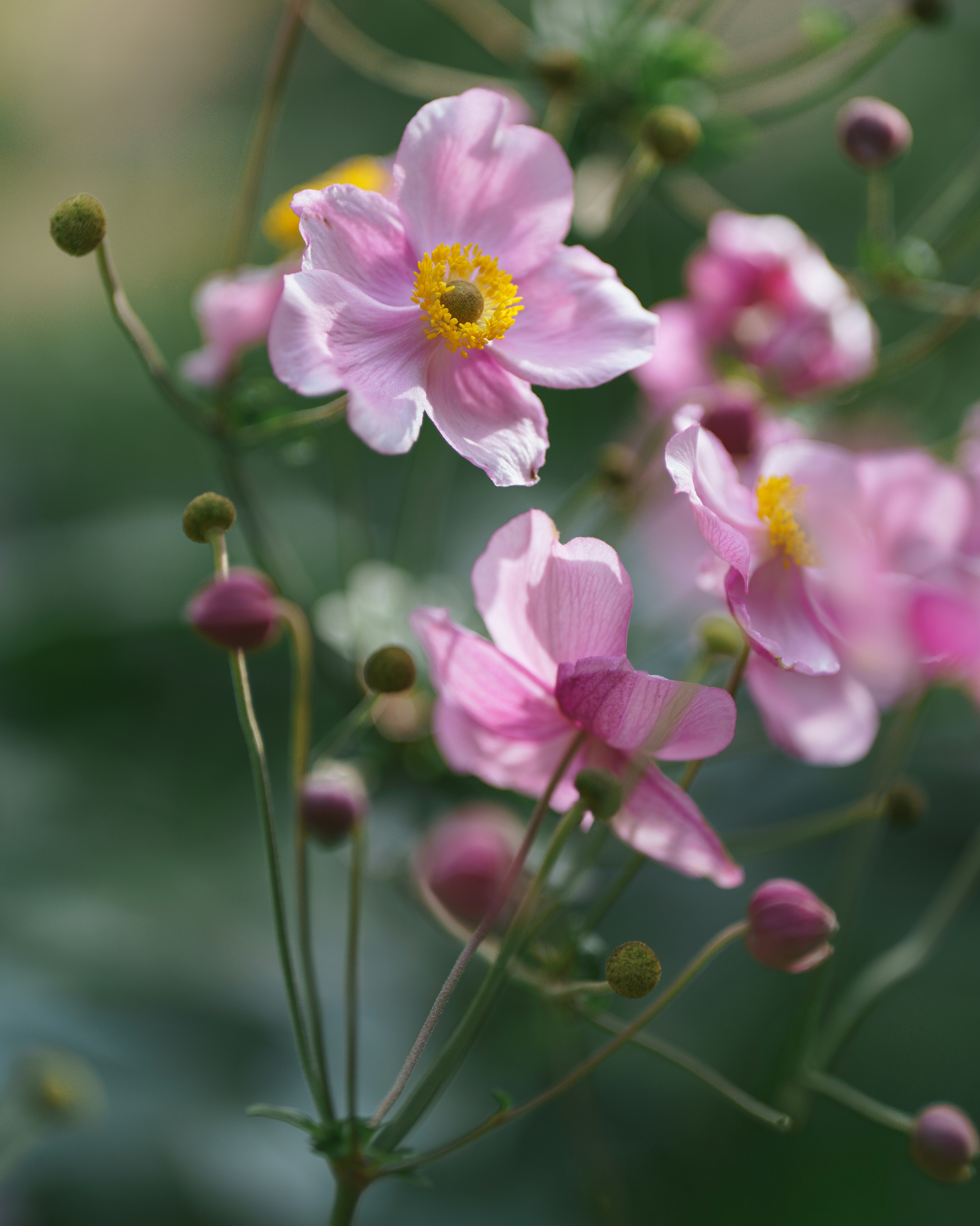 Photo by bangscreative