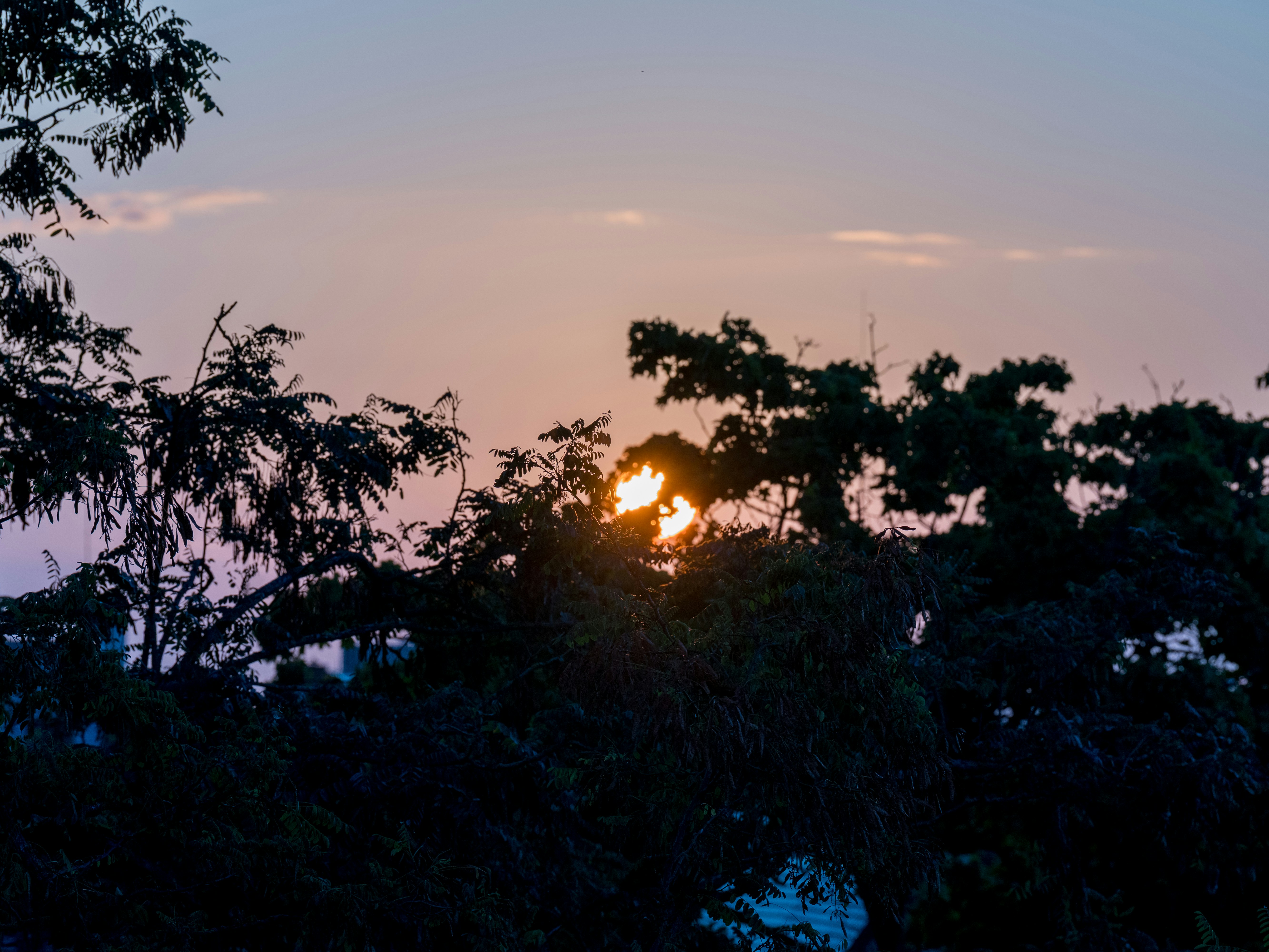 Photo by bangscreative