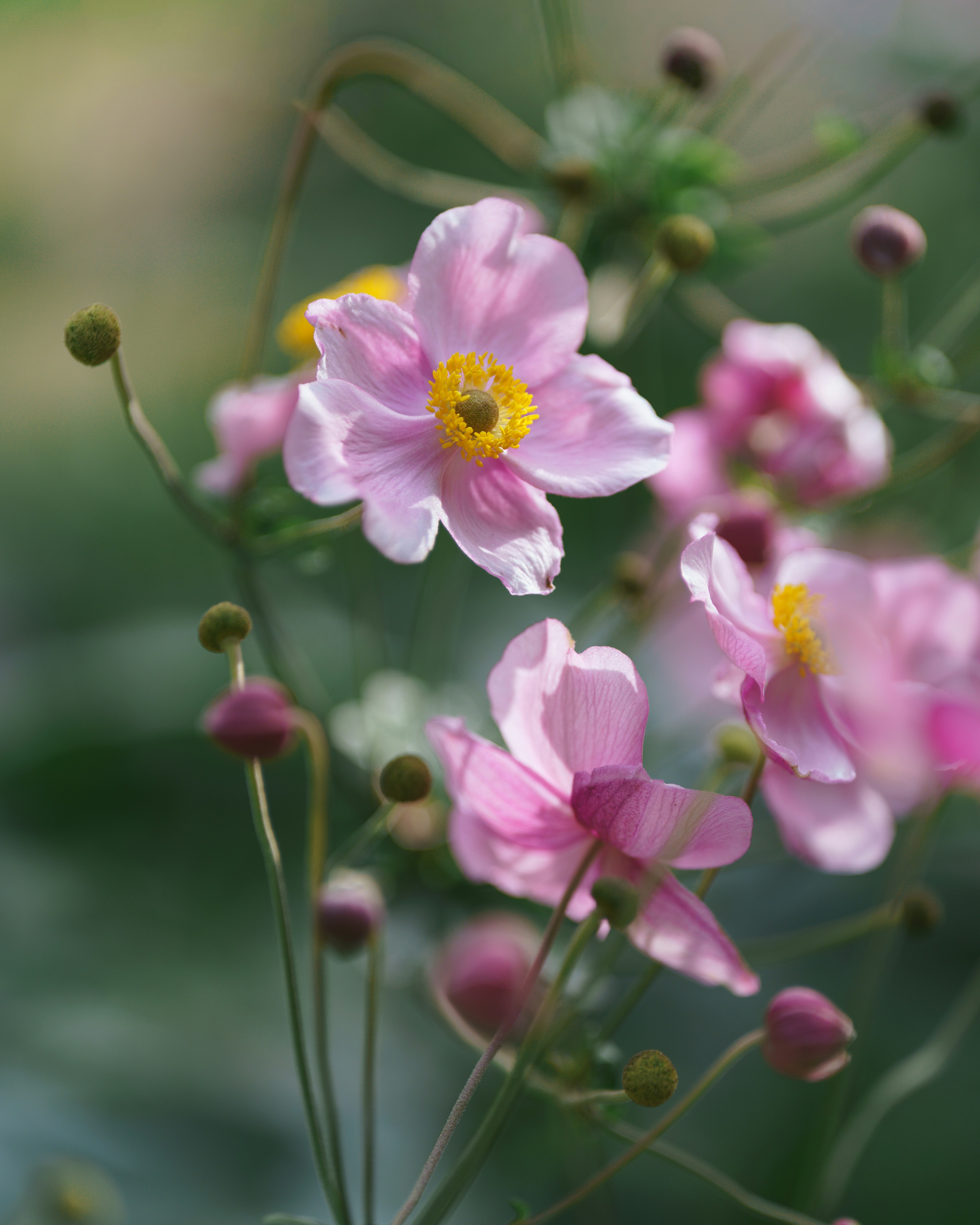 Photo by bangscreative