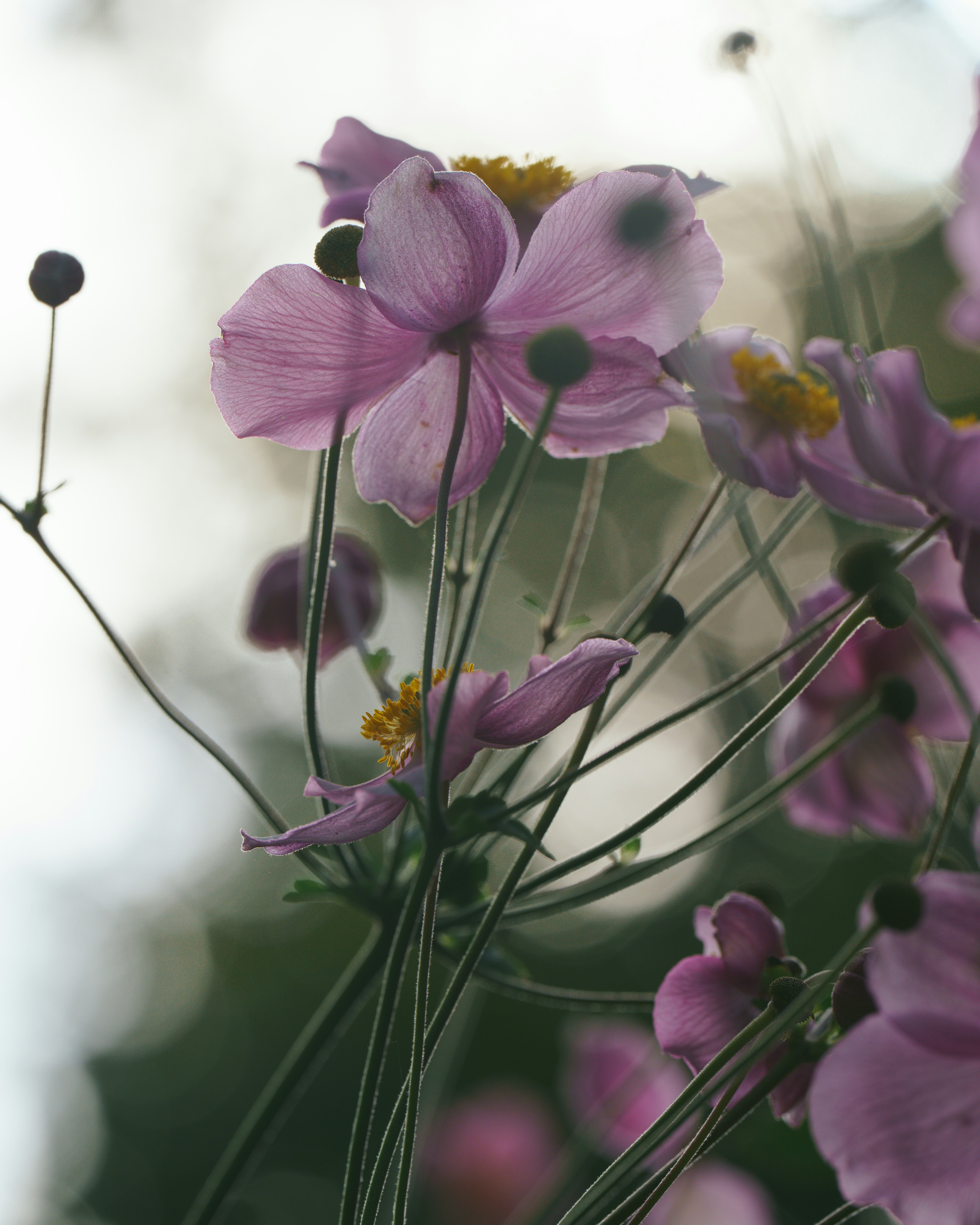 Photo by bangscreative