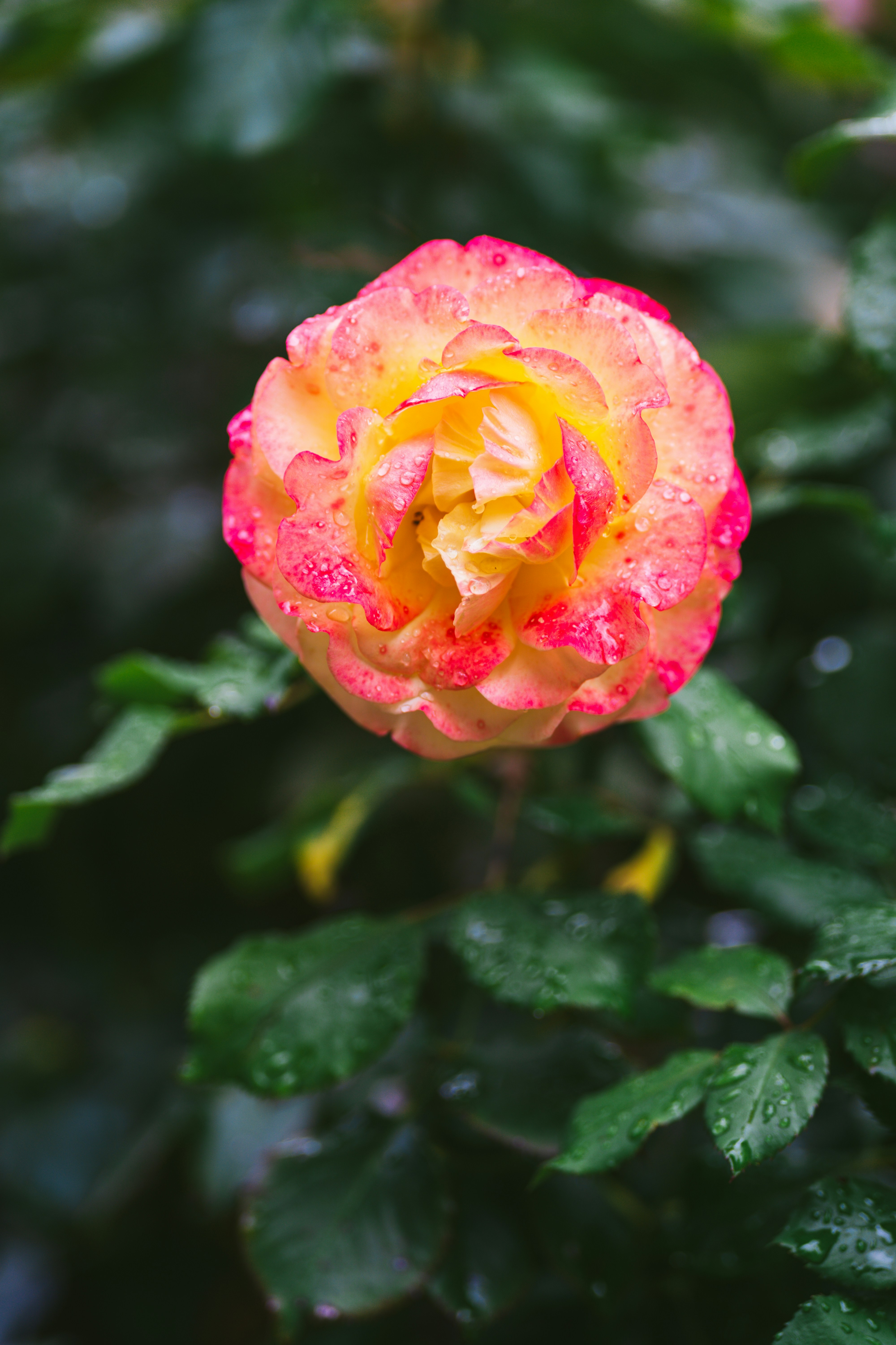 Photo by bangscreative