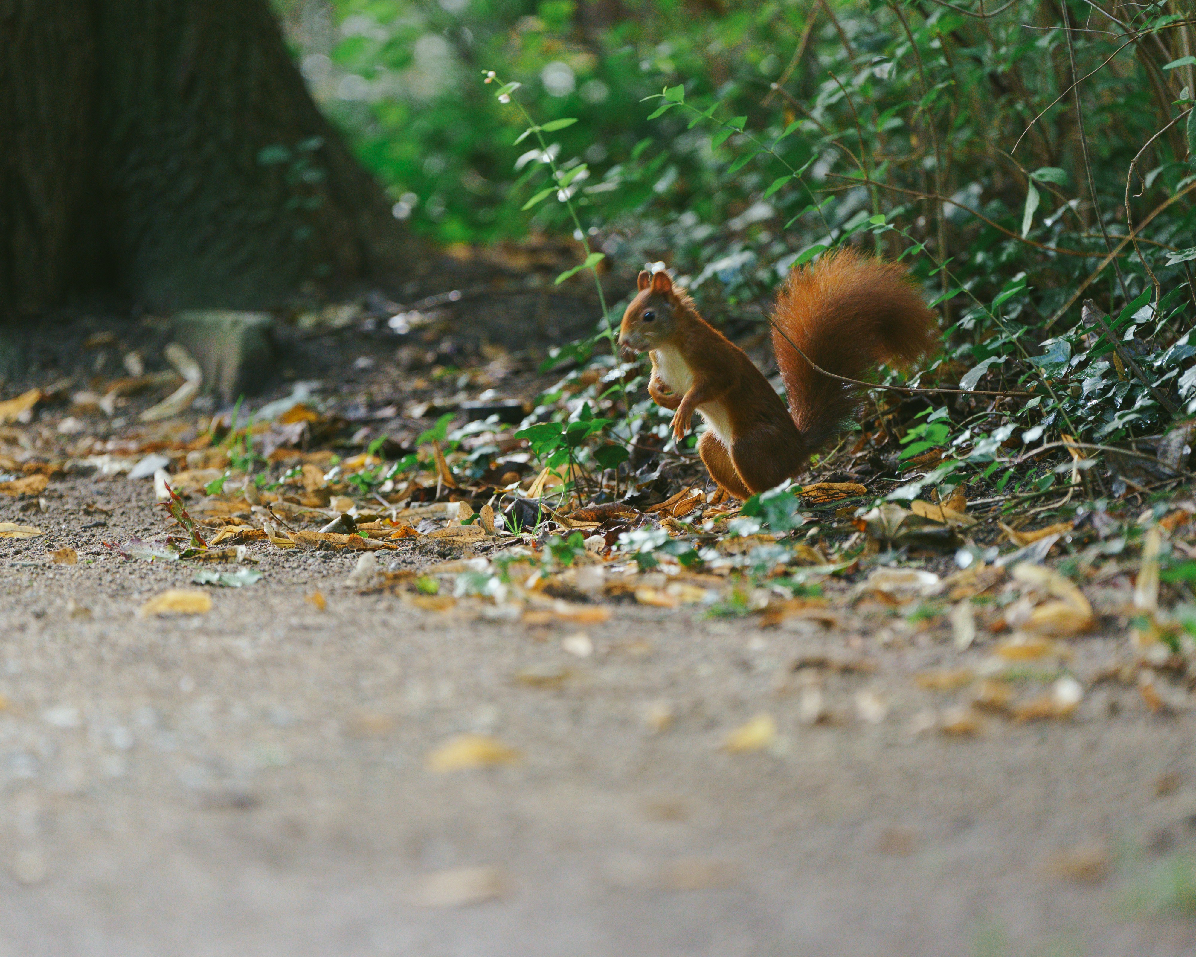 Photo by bangscreative