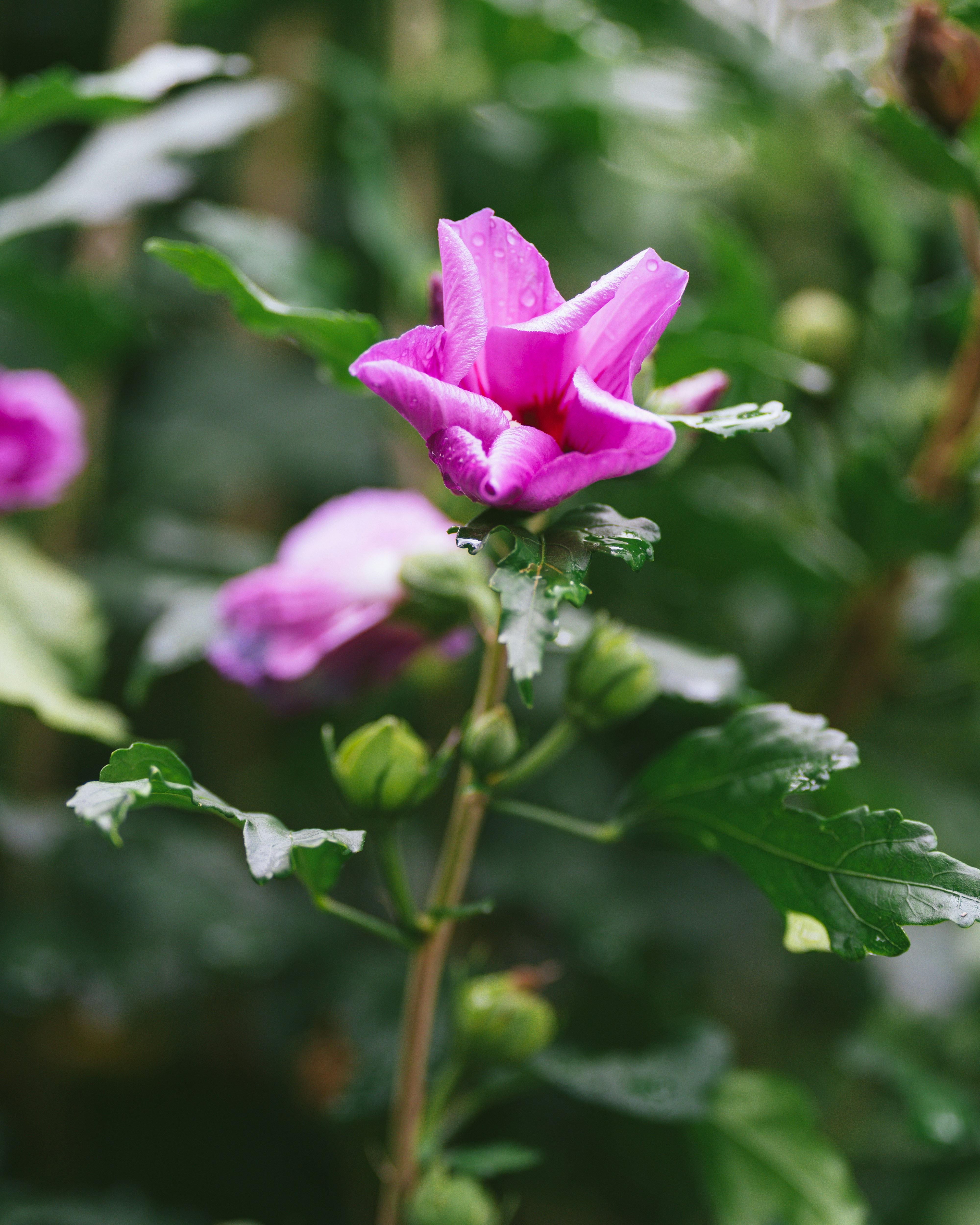 Photo by bangscreative