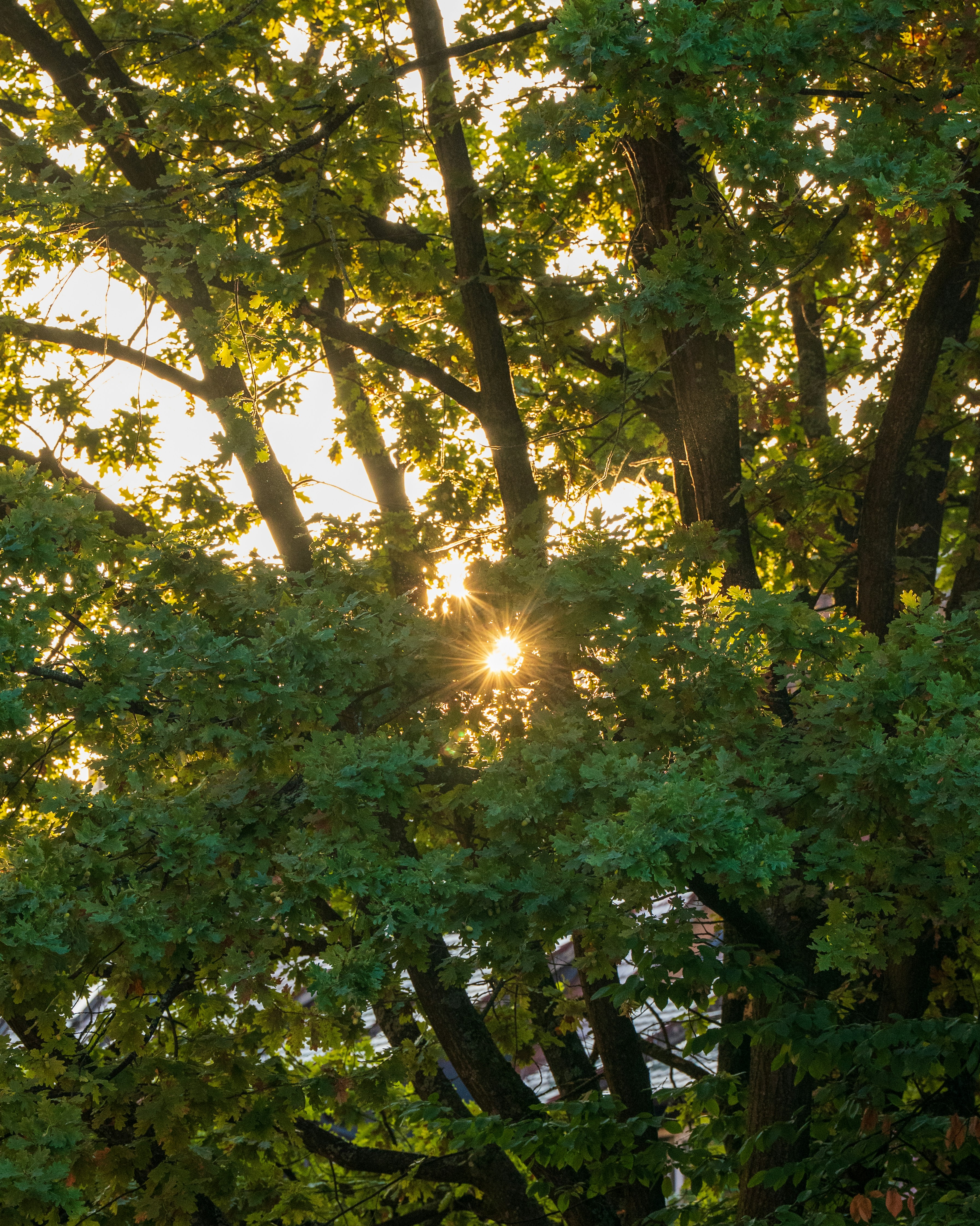 Photo by bangscreative