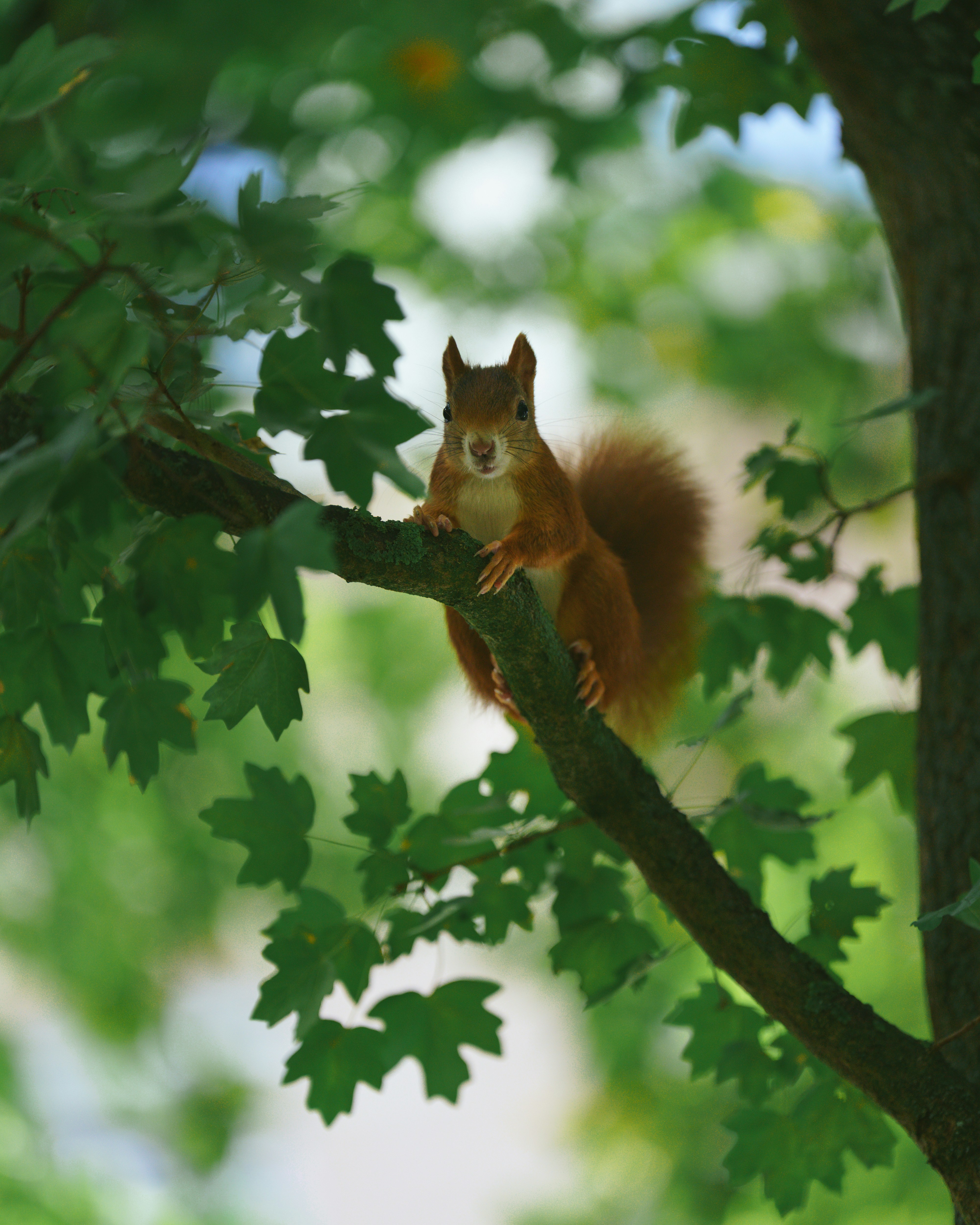 Photo by bangscreative