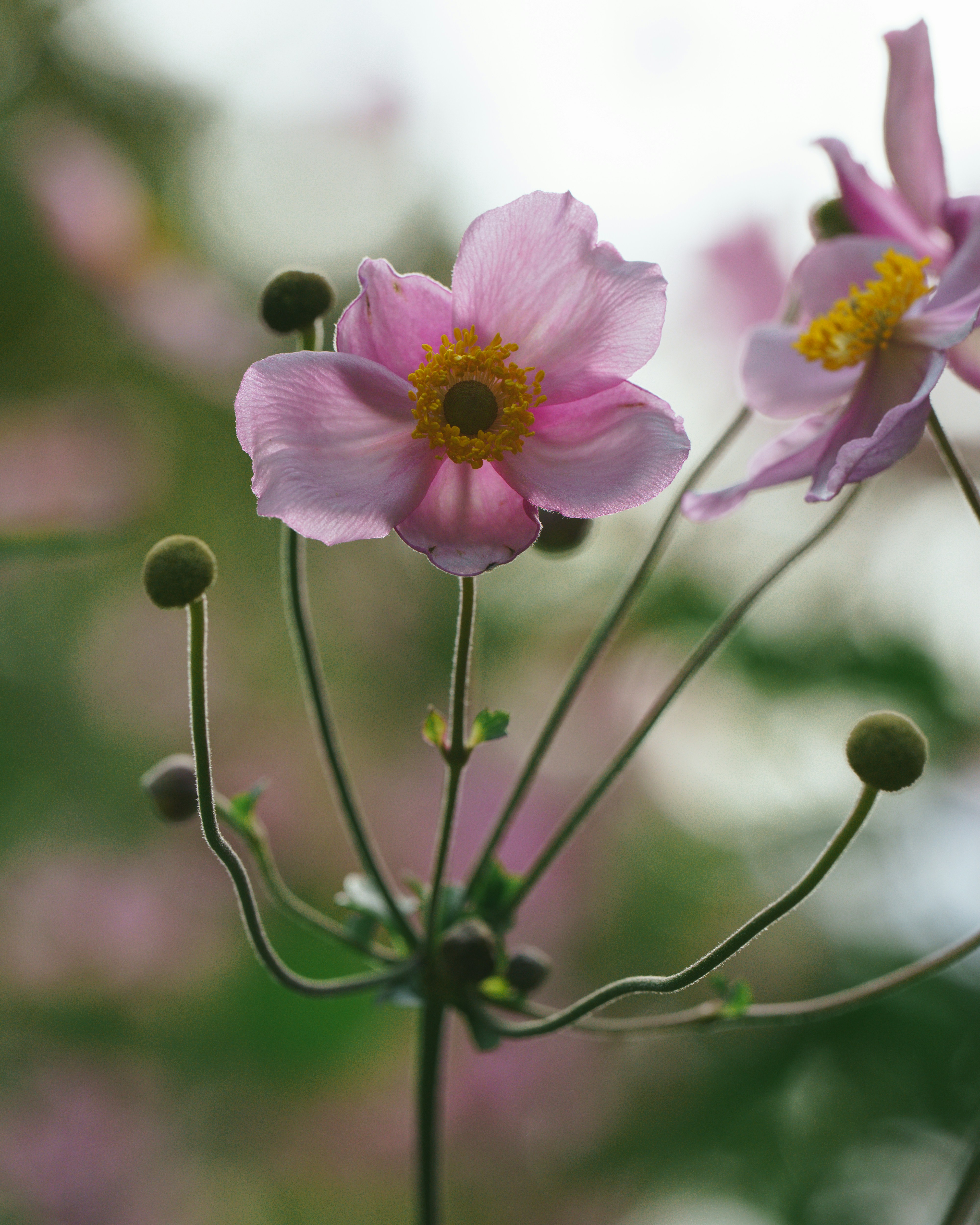 Photo by bangscreative