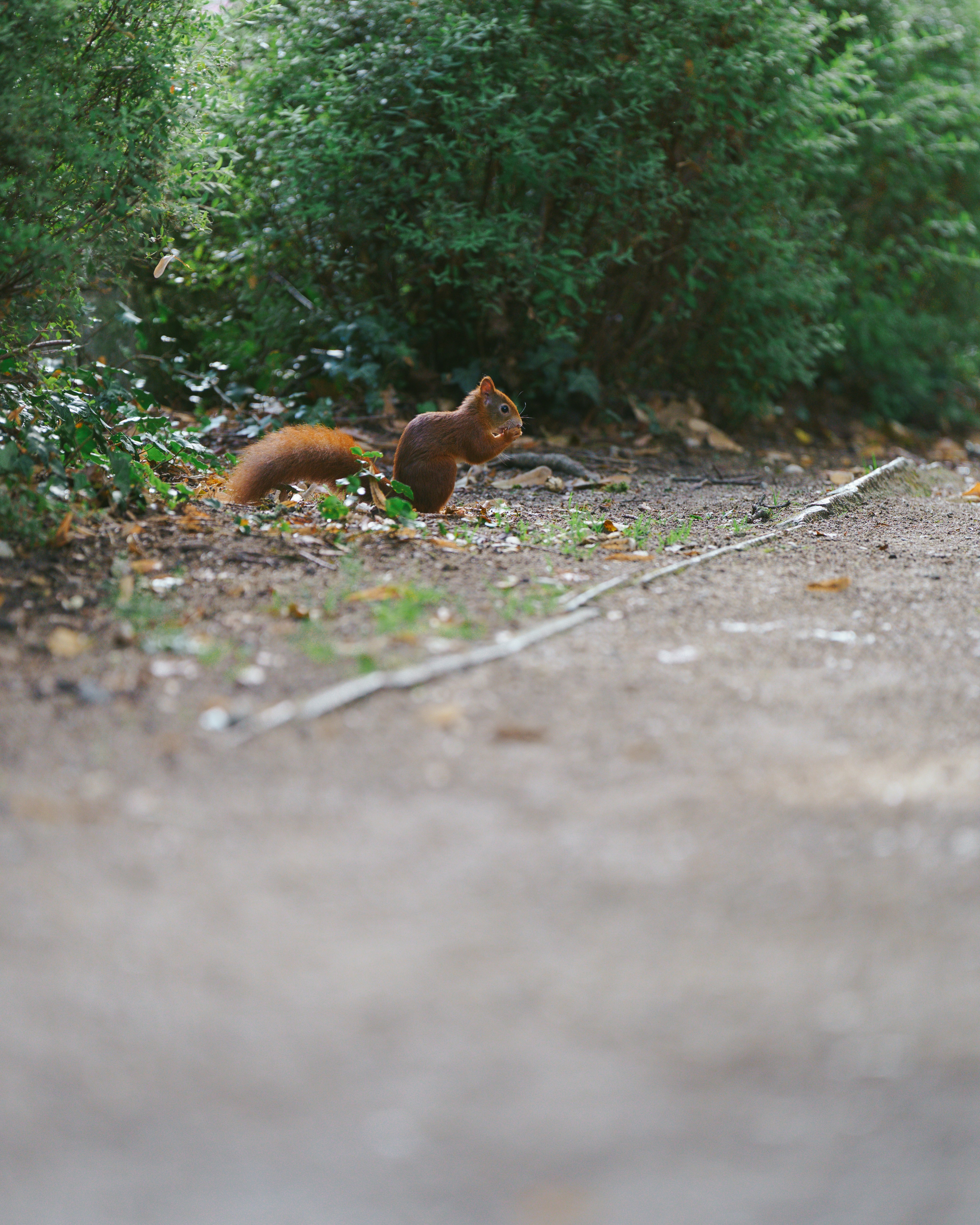 Photo by bangscreative