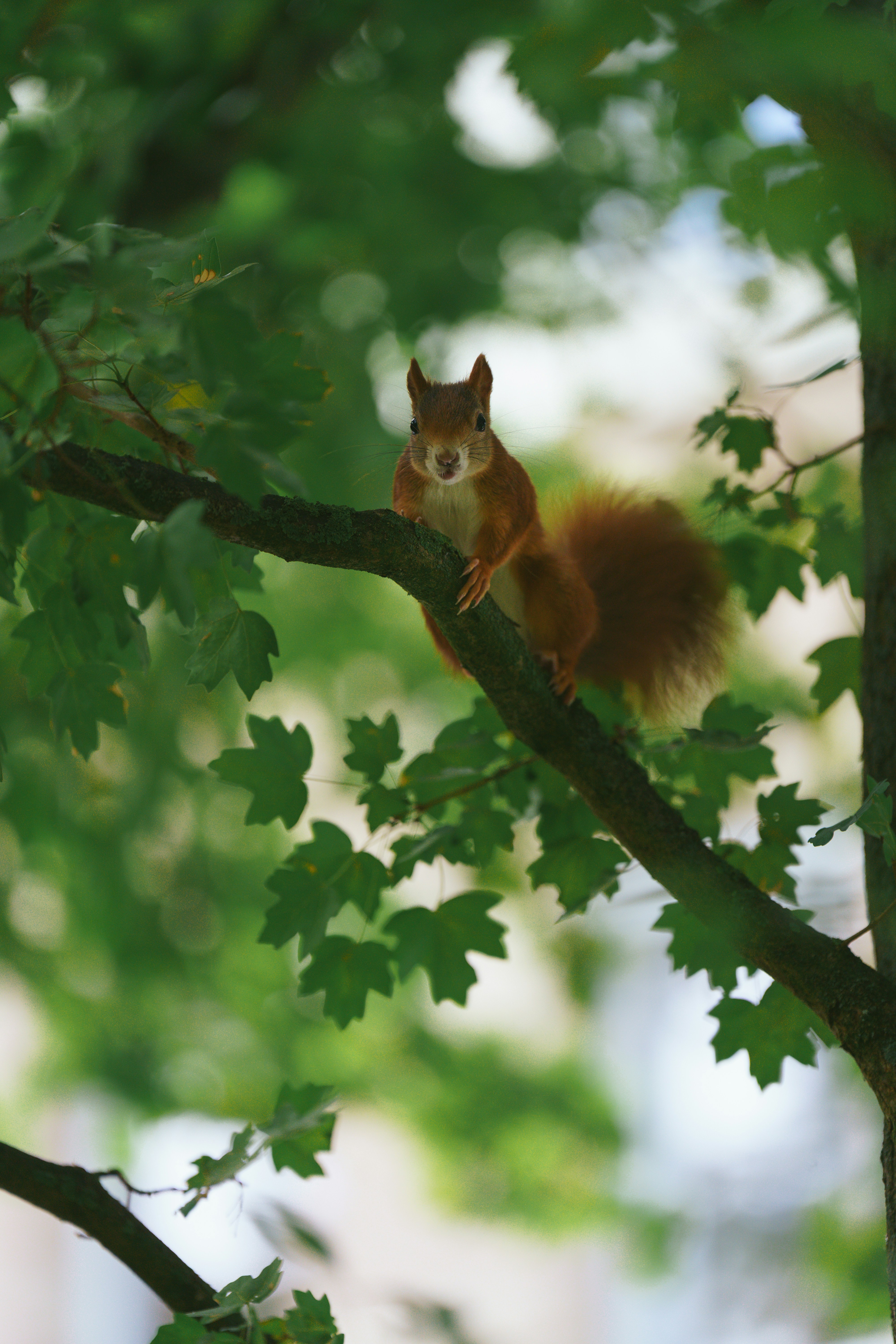 Photo by bangscreative