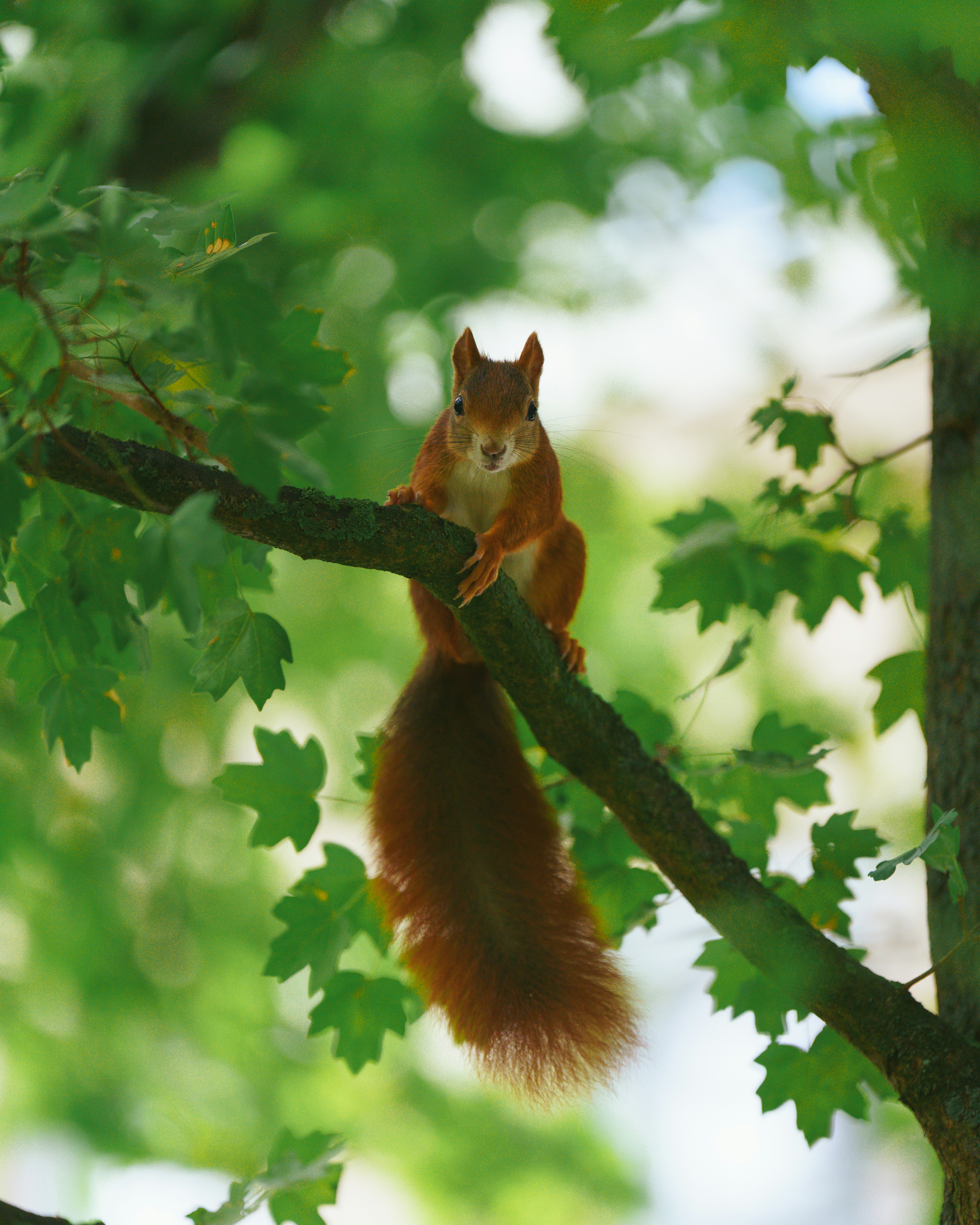 Photo by bangscreative