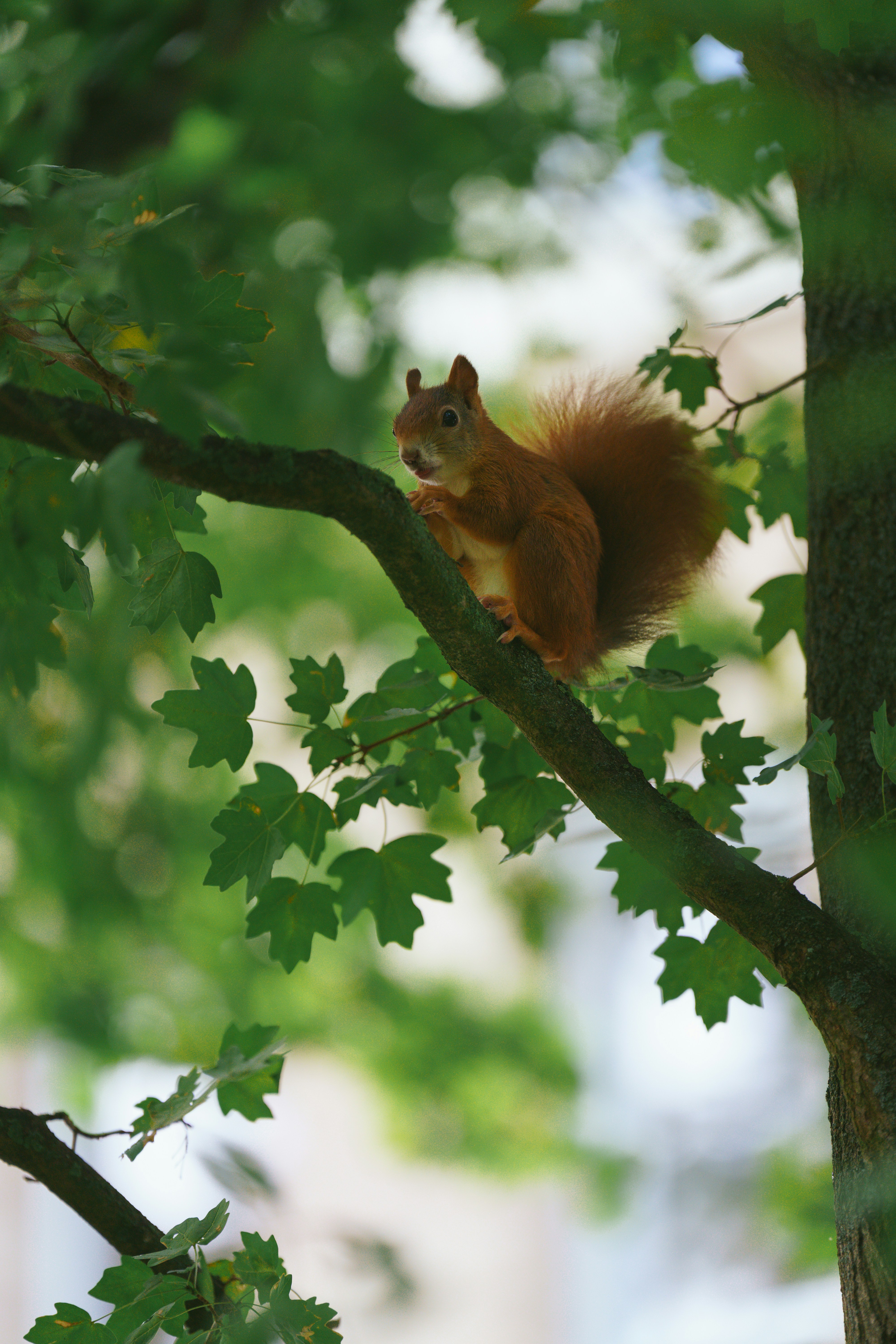 Photo by bangscreative