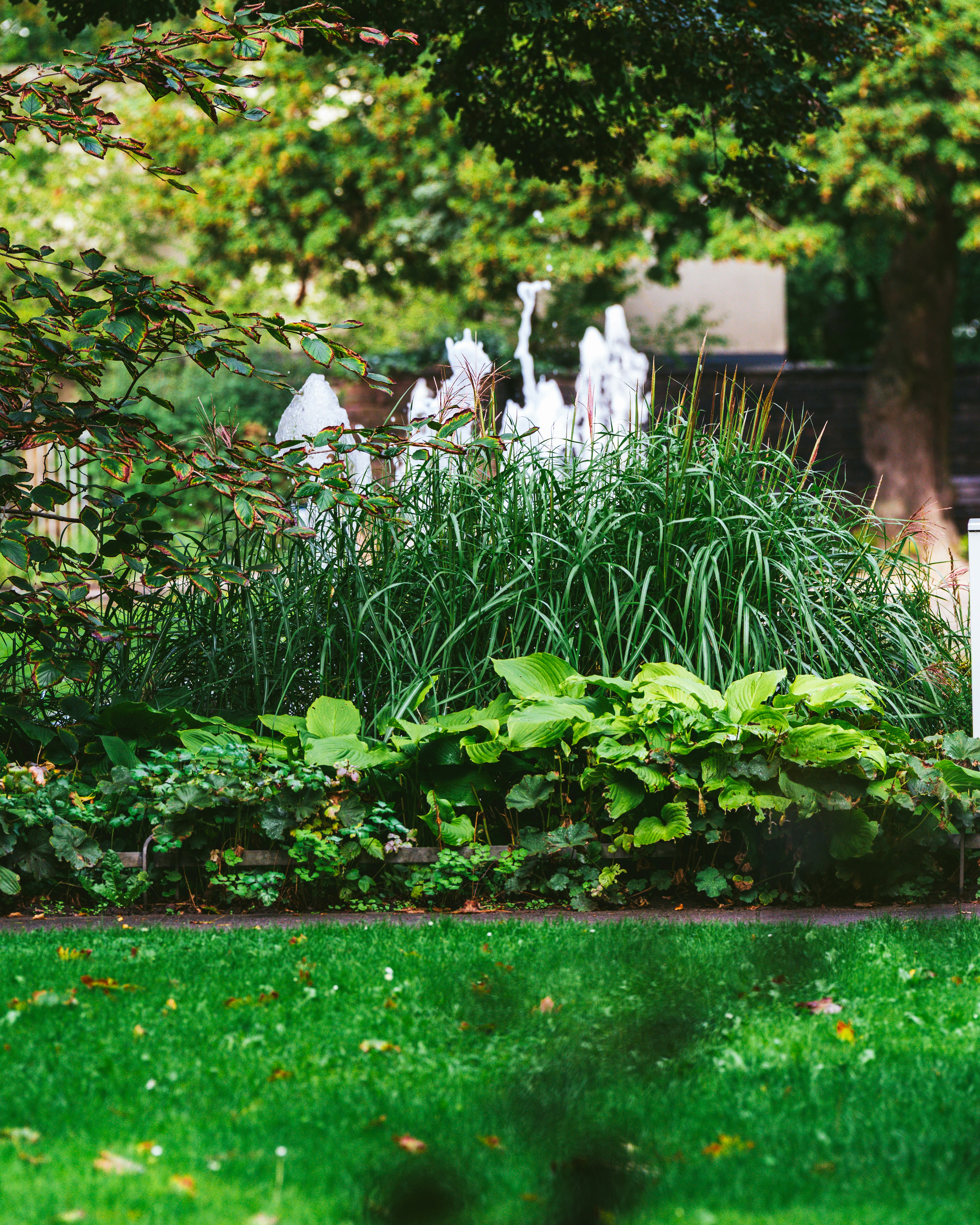 Photo by bangscreative