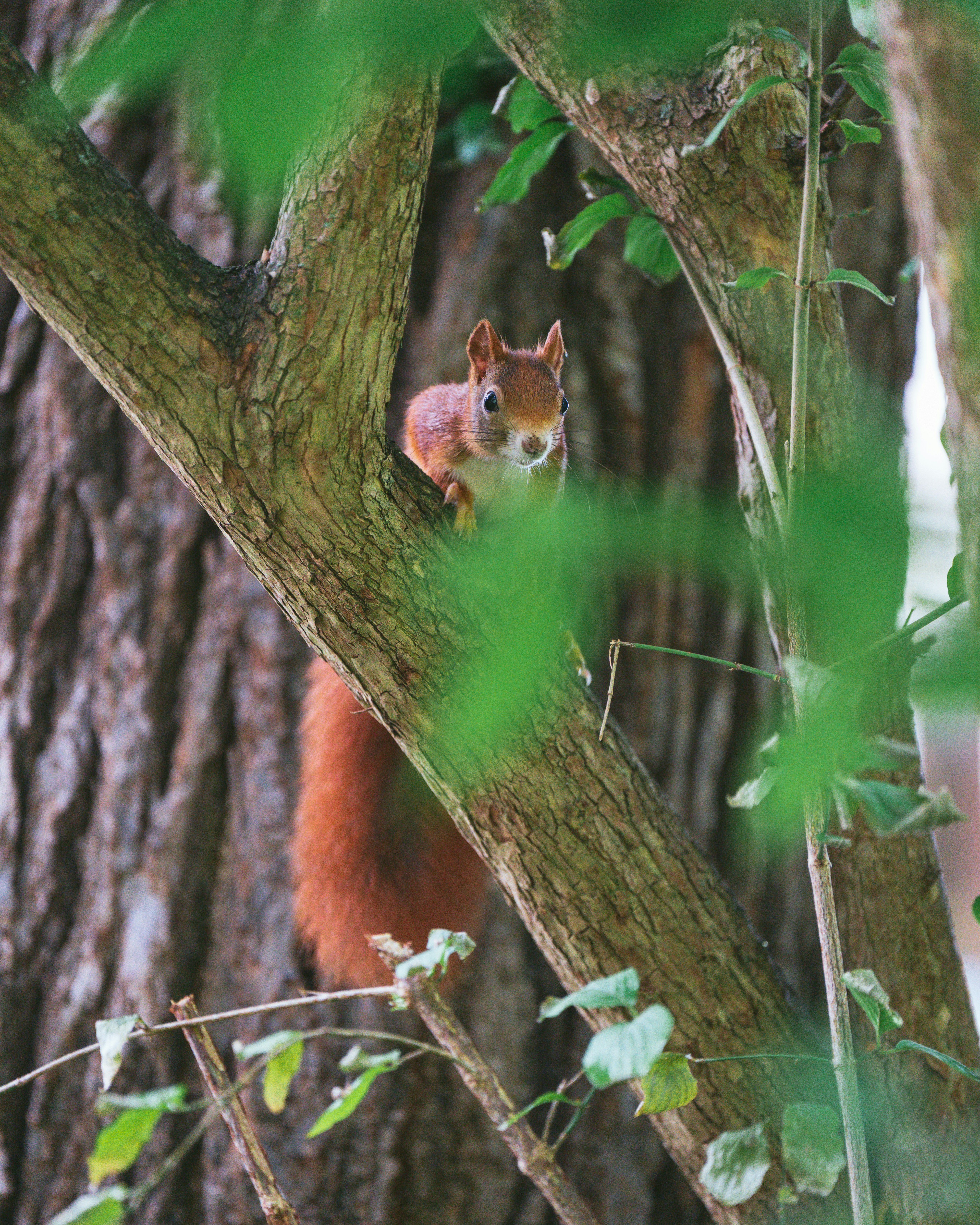 Photo by bangscreative