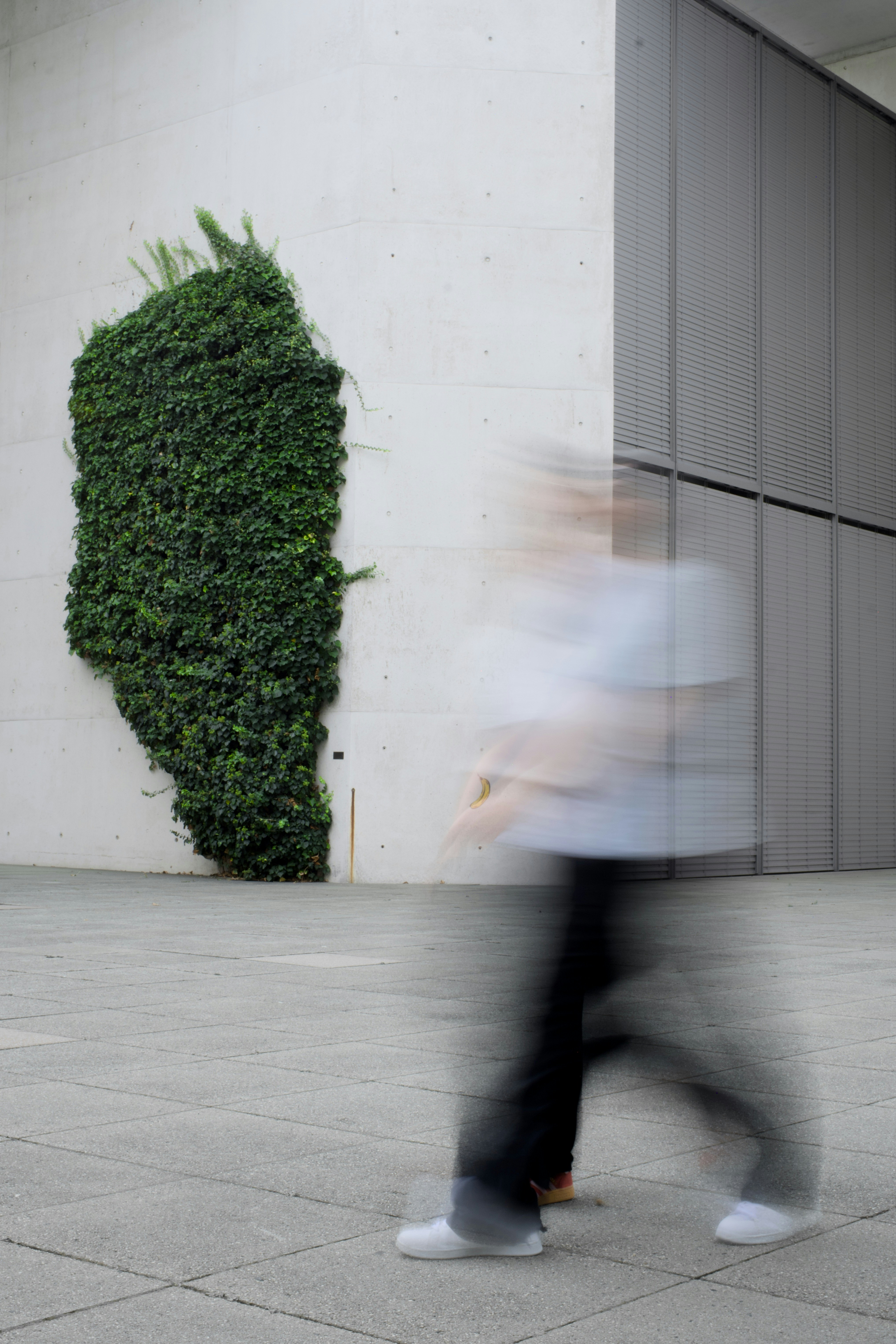 Des gens passent devant une installation de mur végétal