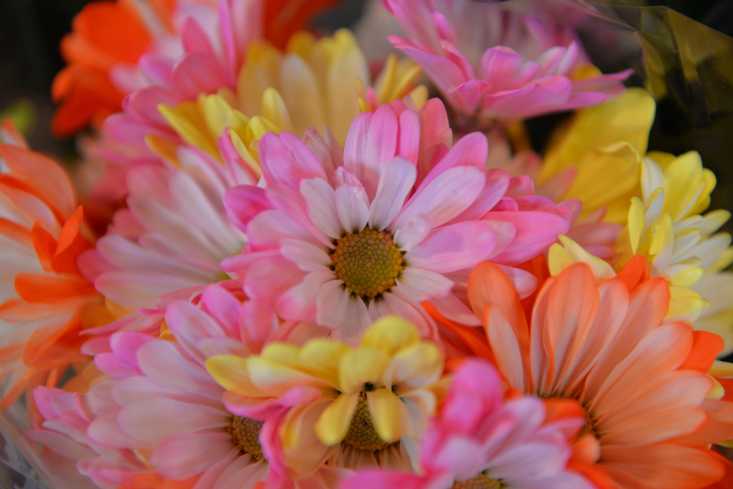 Photo by catchinglightstudio