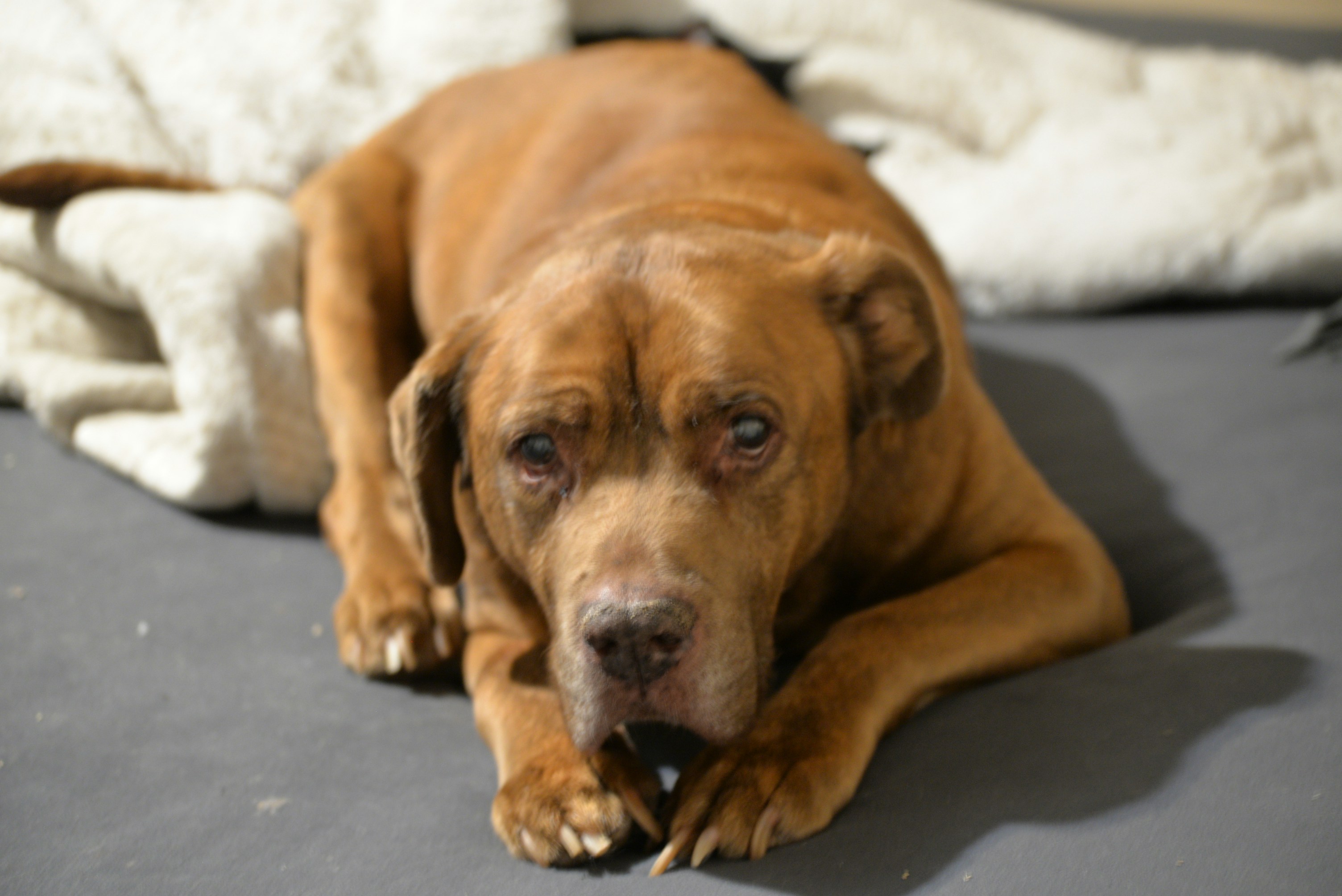 Photo by catchinglightstudio