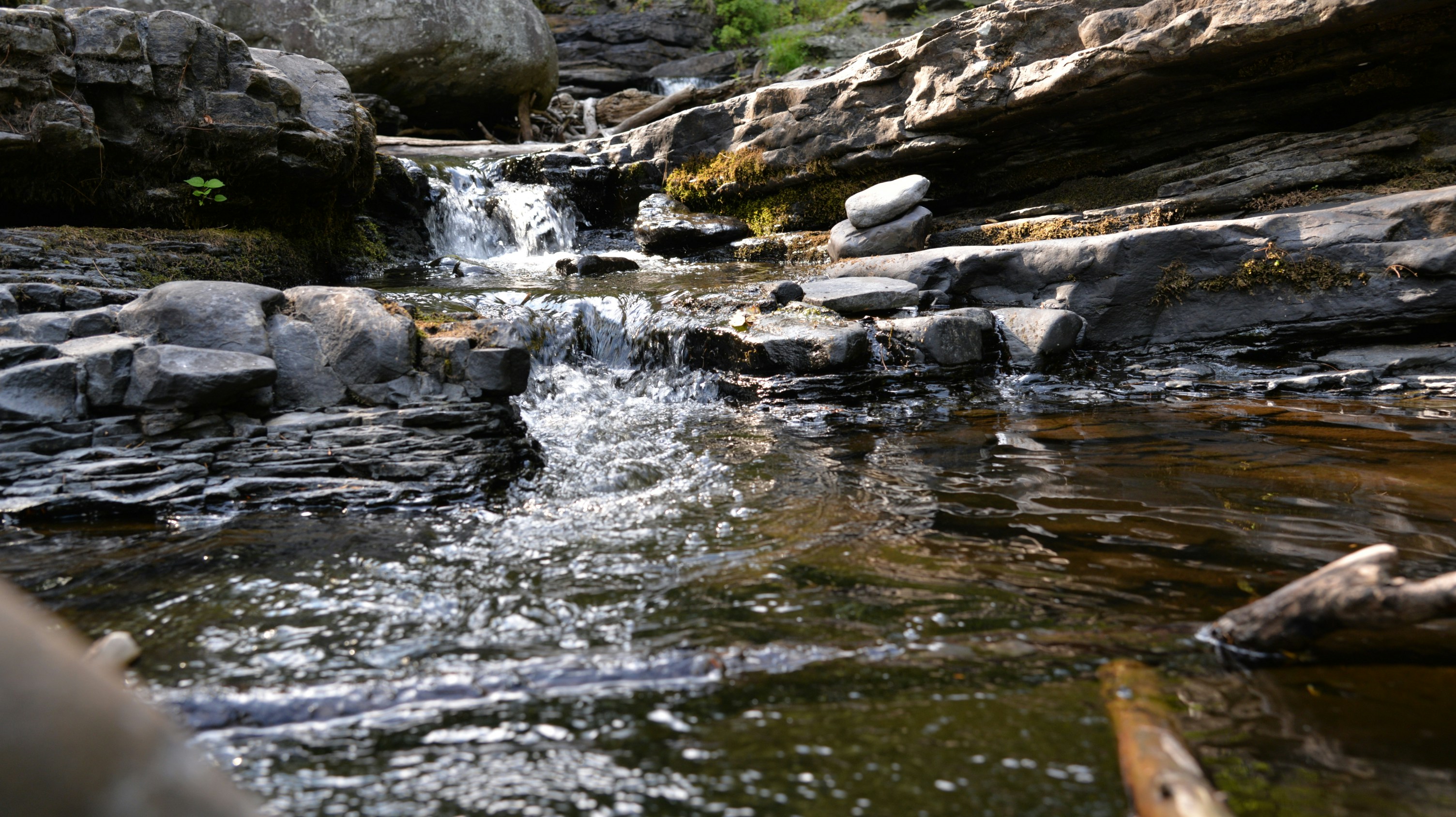 Photo by catchinglightstudio