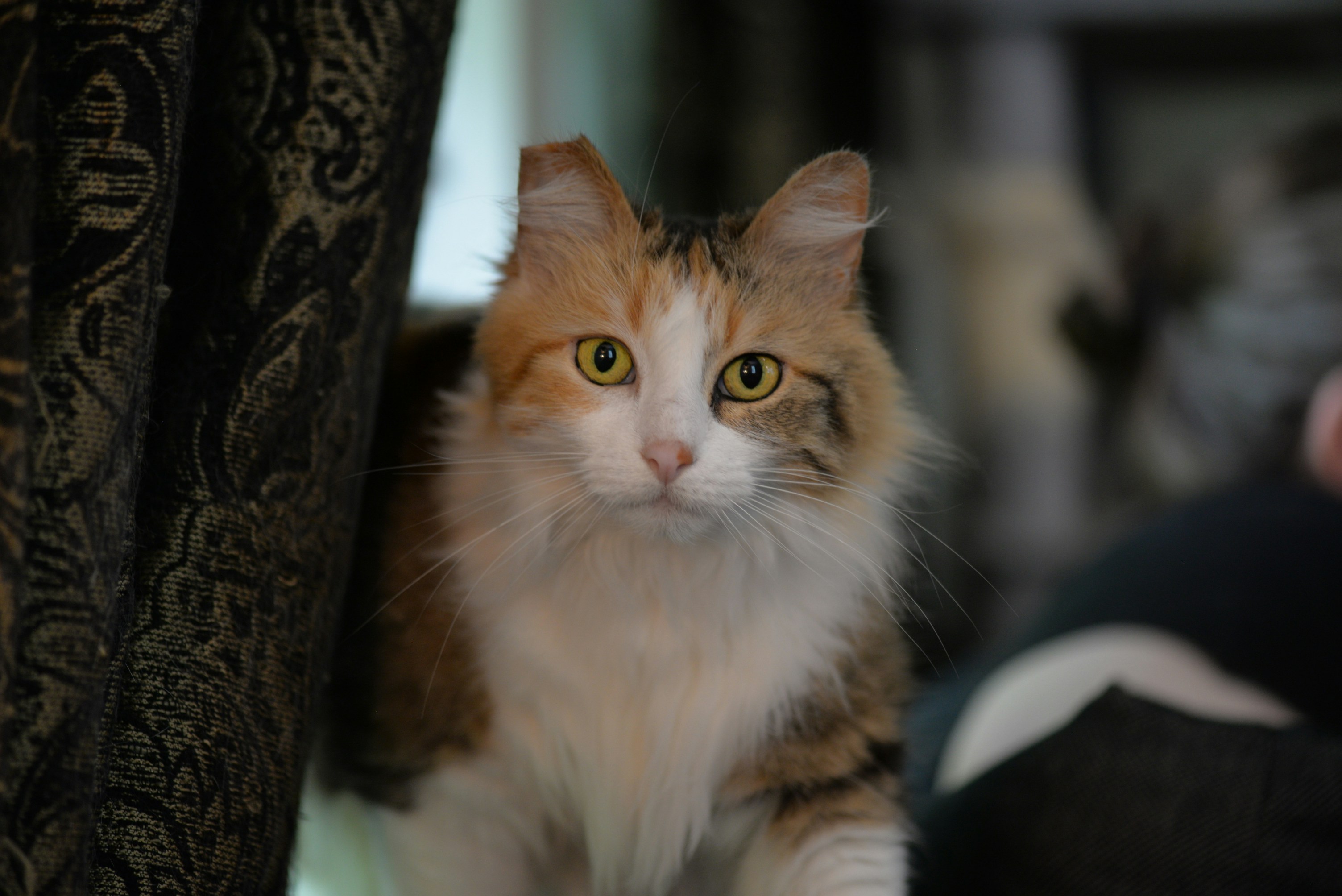 Photo by catchinglightstudio