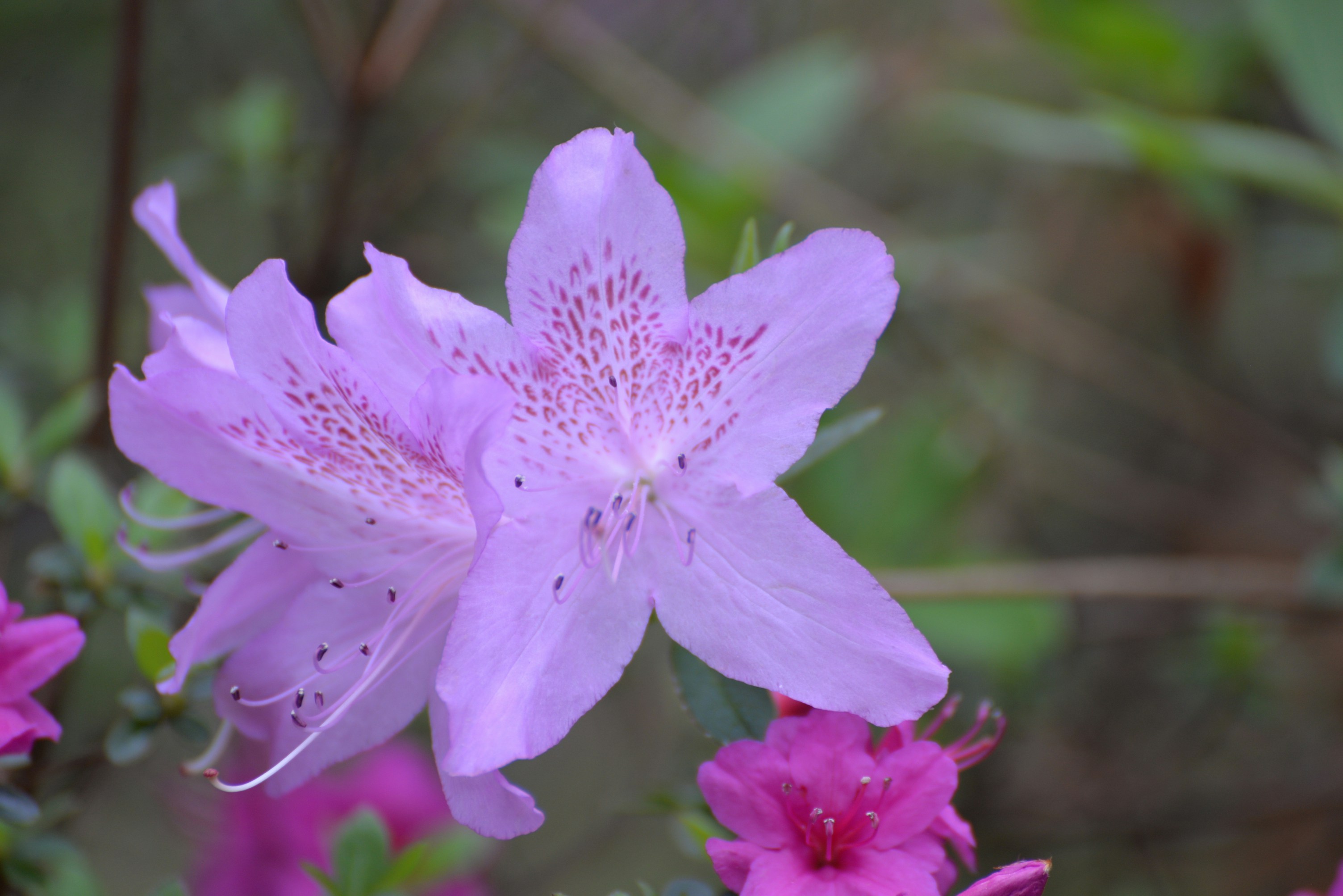 Photo by catchinglightstudio