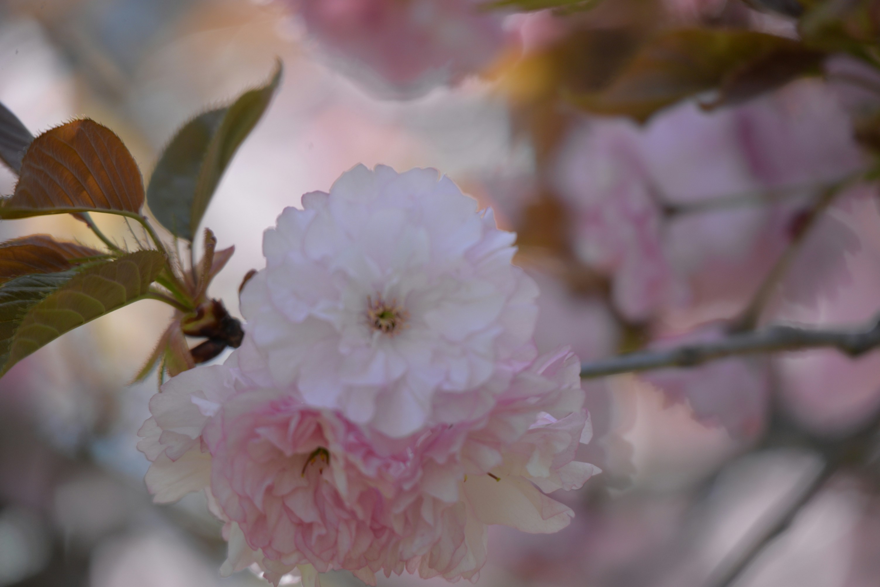 Photo by catchinglightstudio