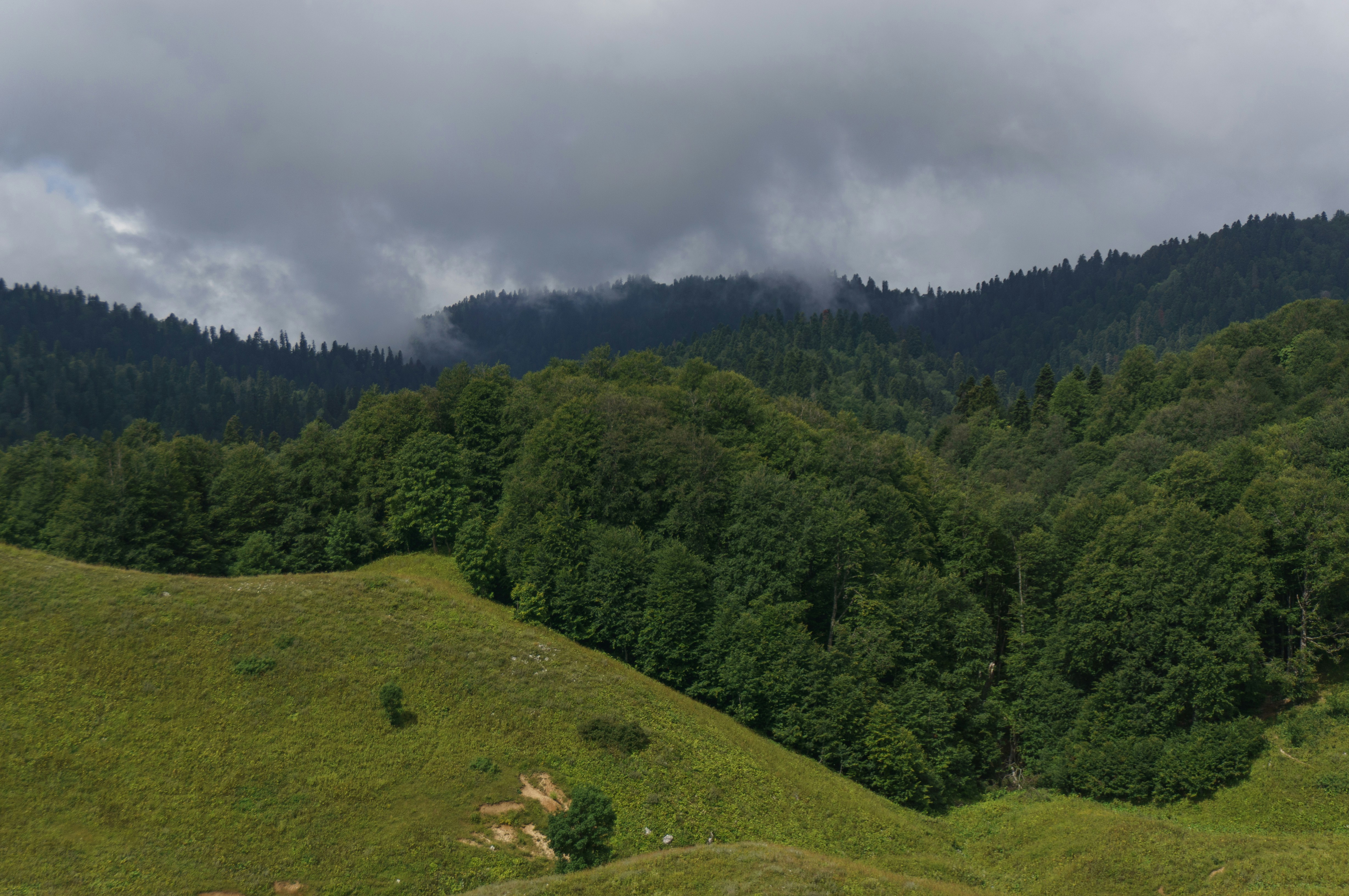 Photo by maksimzaviktorin