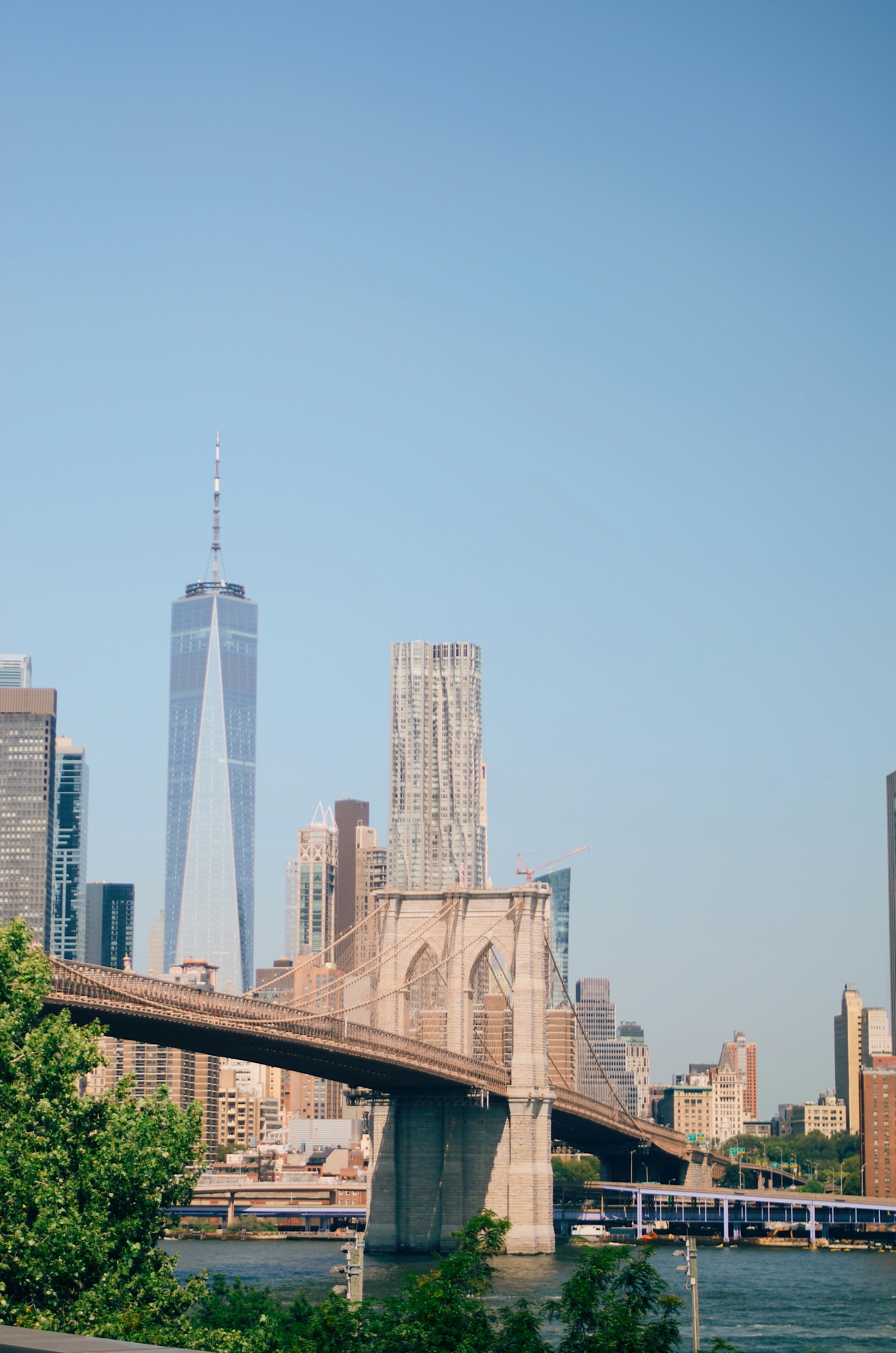 Photo by carolinehdz