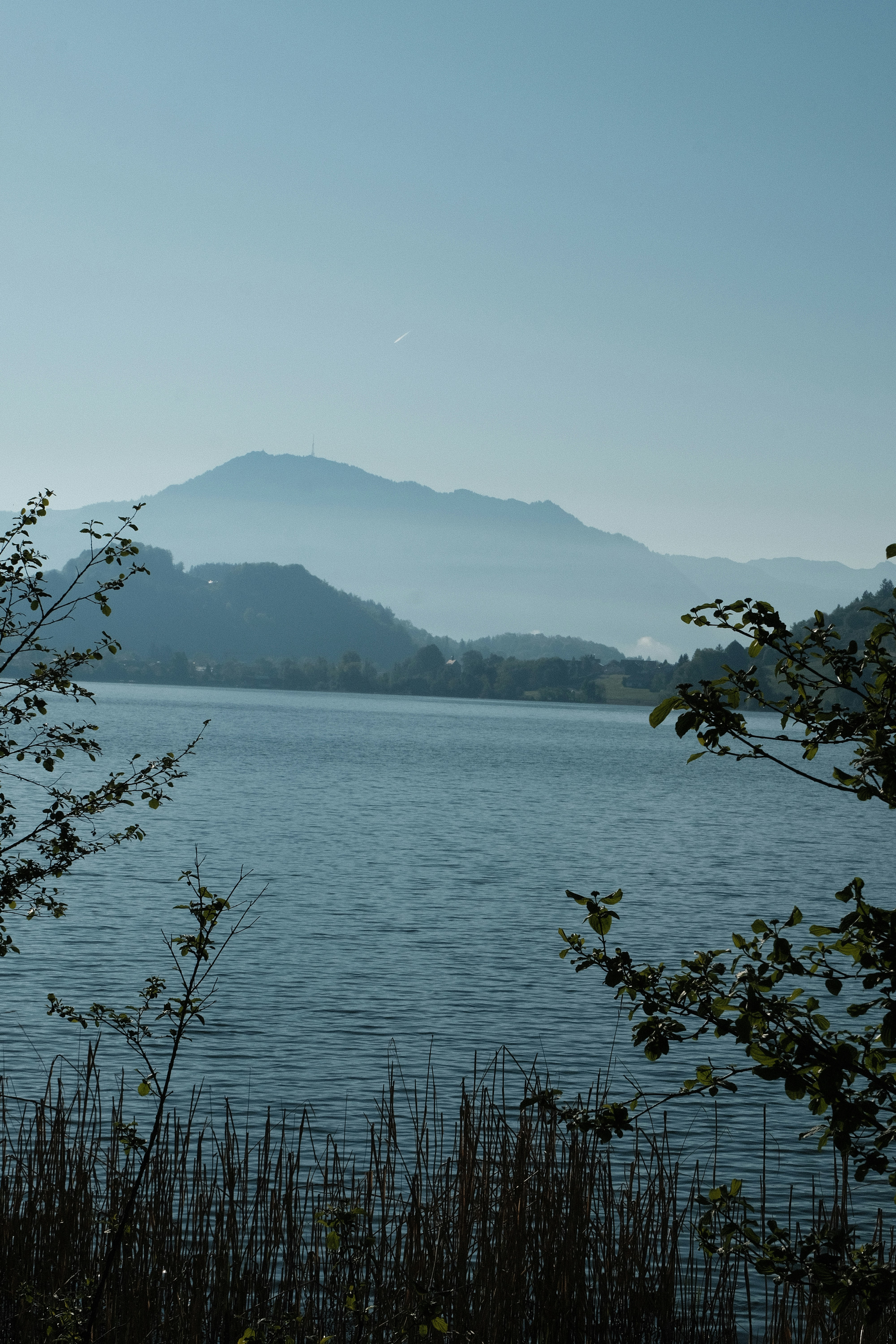 Photo by forest_tales