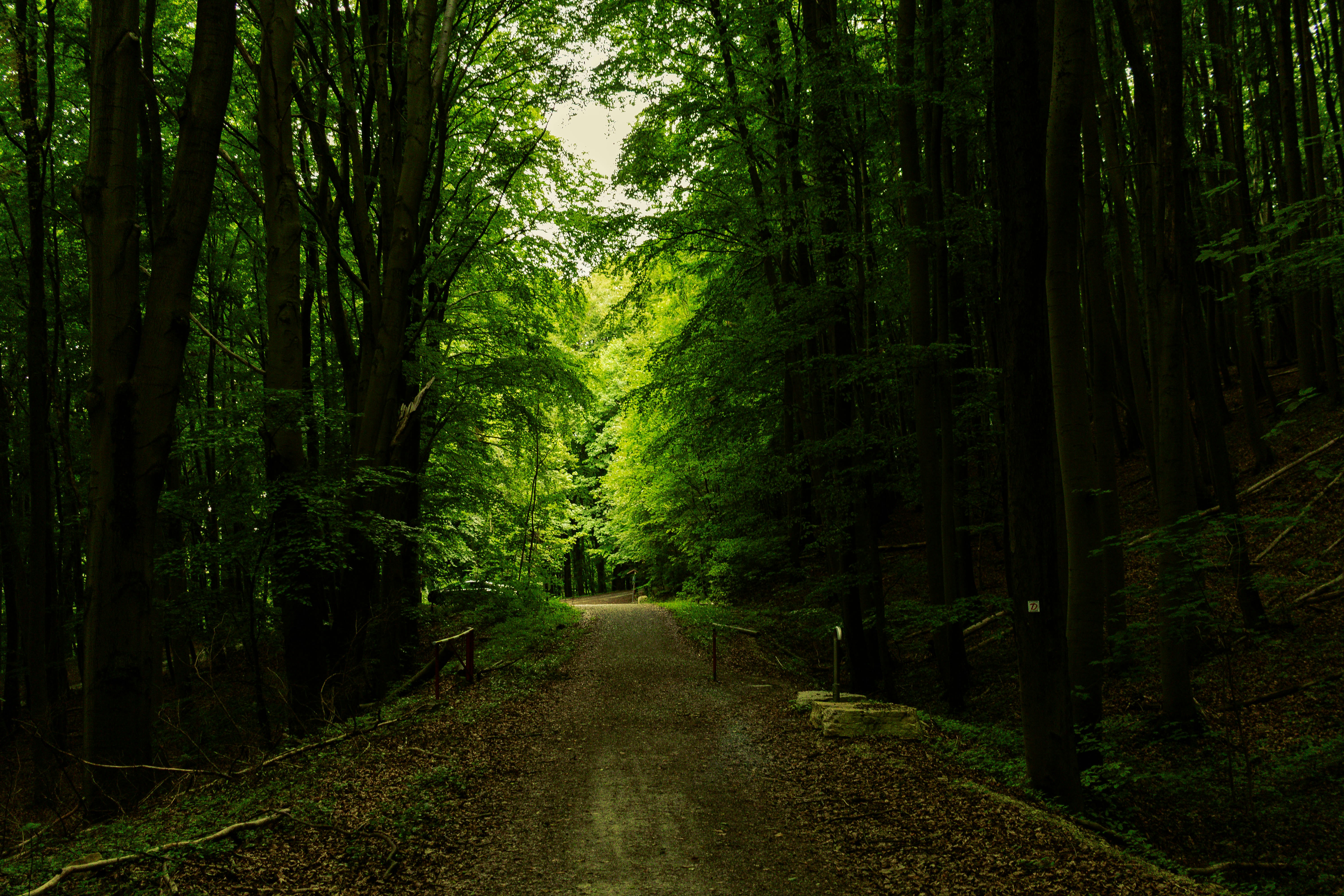 Photo by arlindphotography