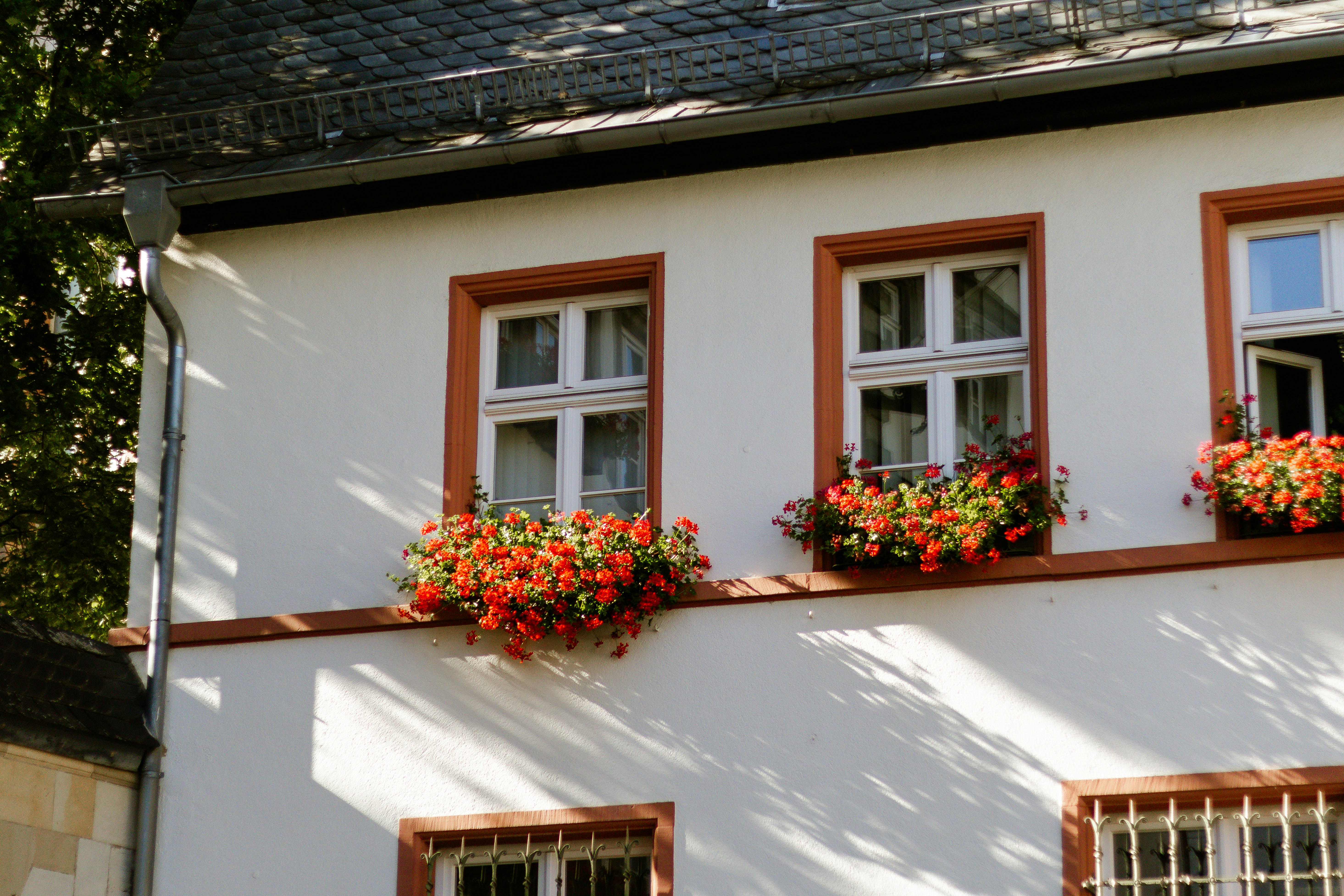 Photo by arlindphotography