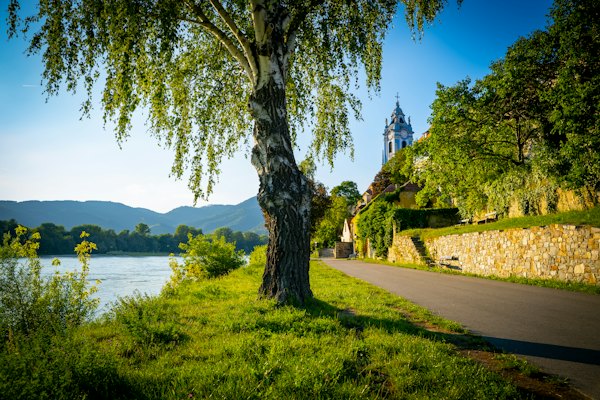 Tree-lined path along river with distant castle on hill — Wachau Valley, Austria