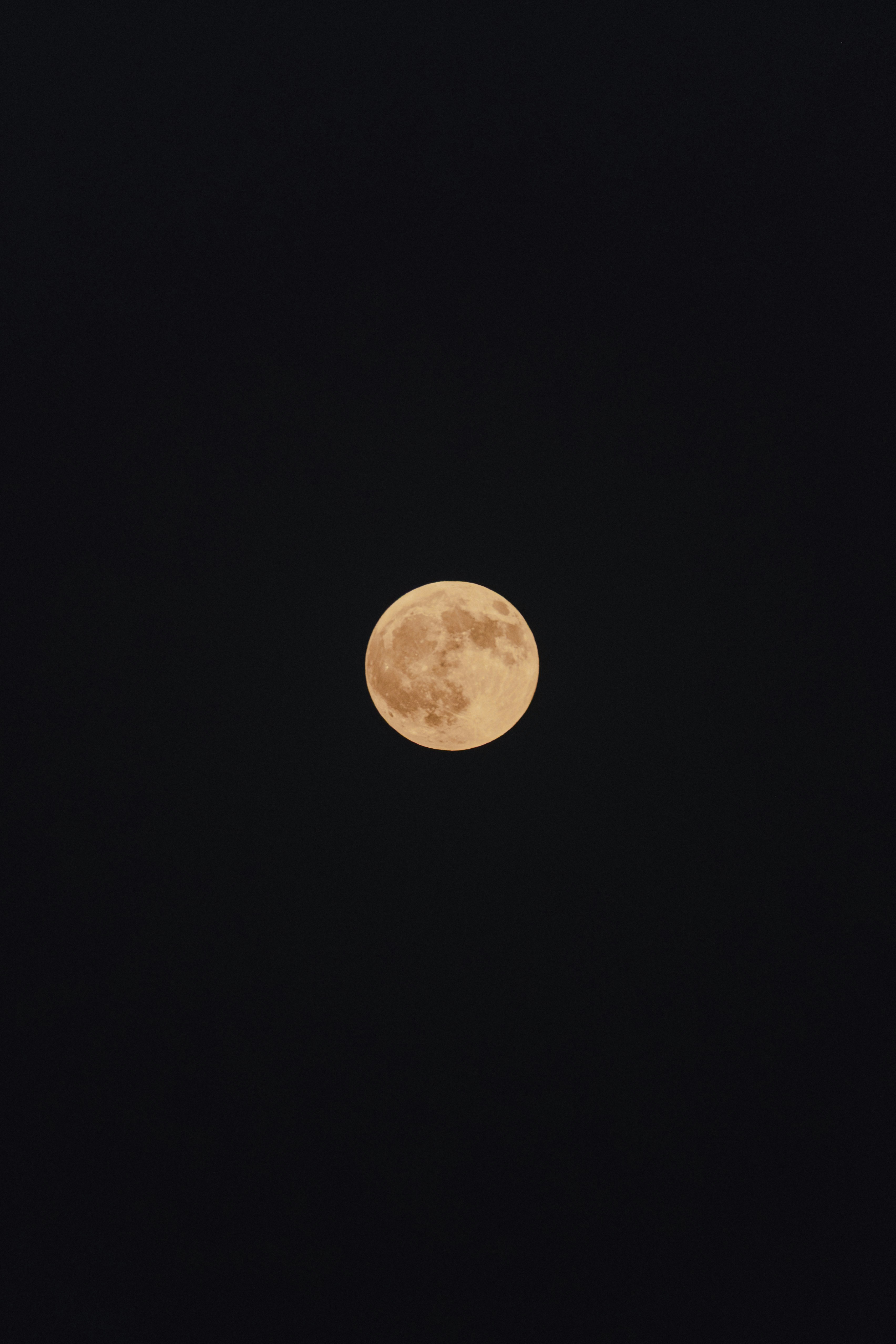 Photo by s_ahmadreza_p