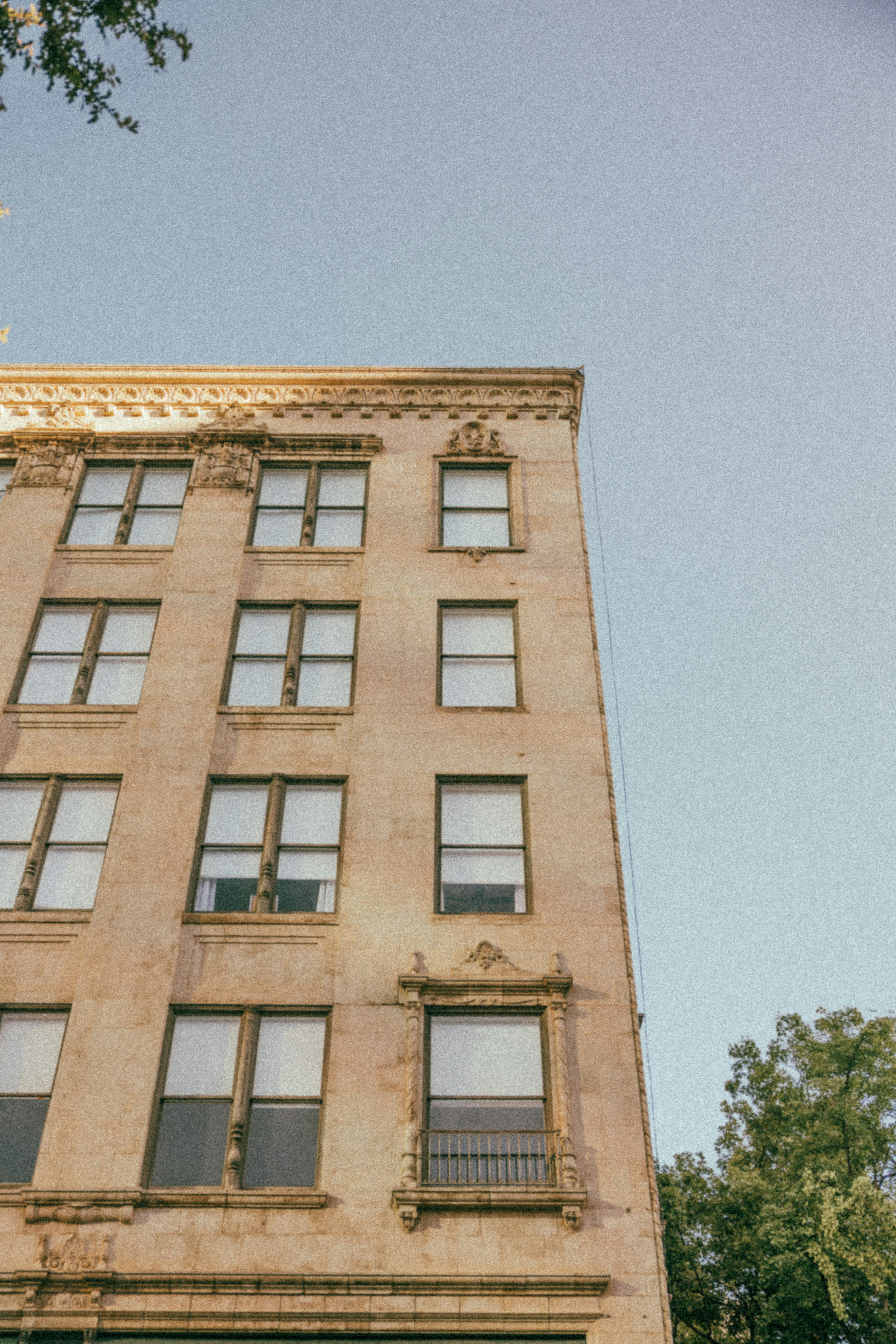 Photo by fallonmichaeltx