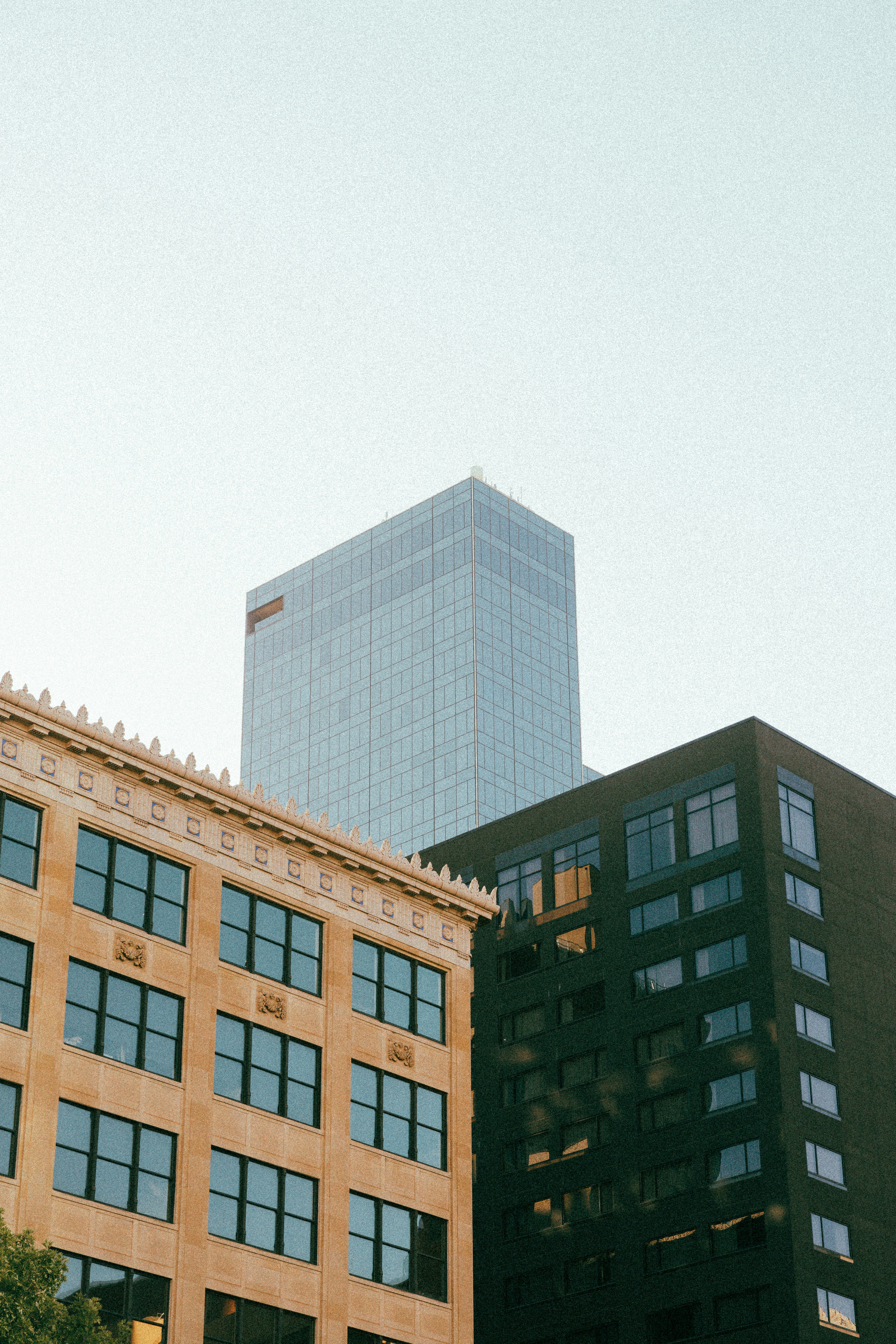 Photo by fallonmichaeltx