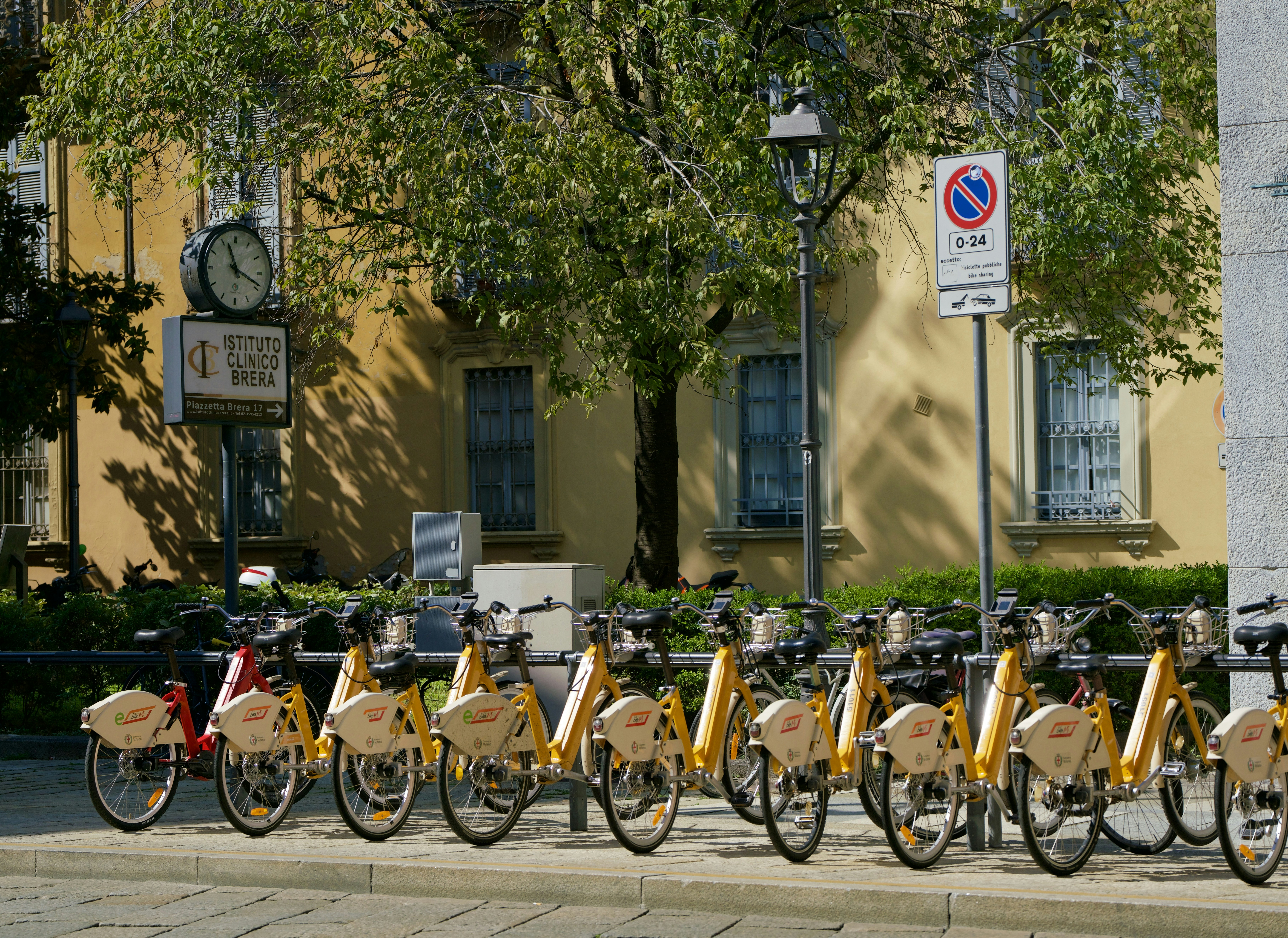 Row of yellow rental bicycles parked on street.
