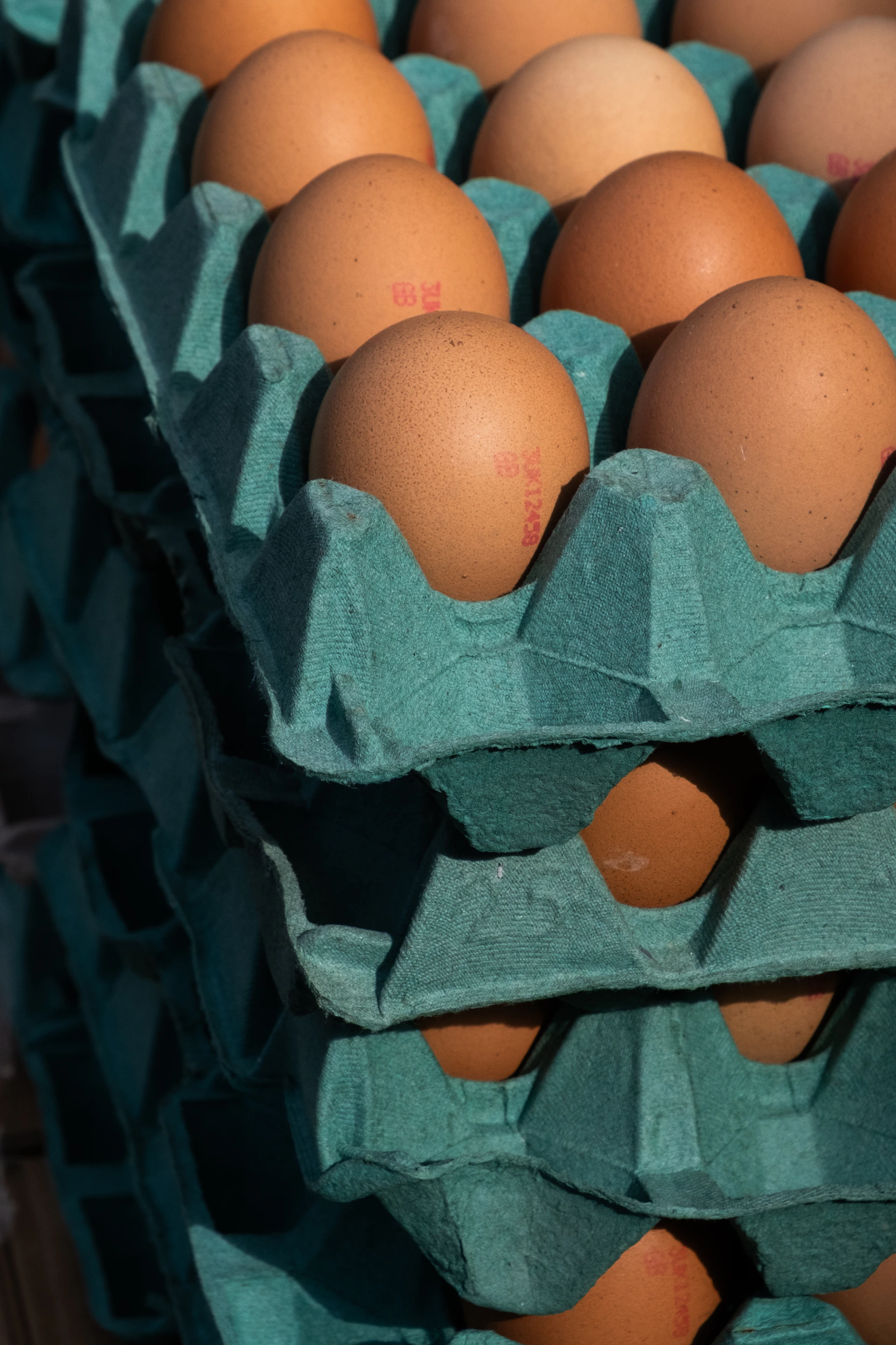 Brown eggs stacked in teal cartons