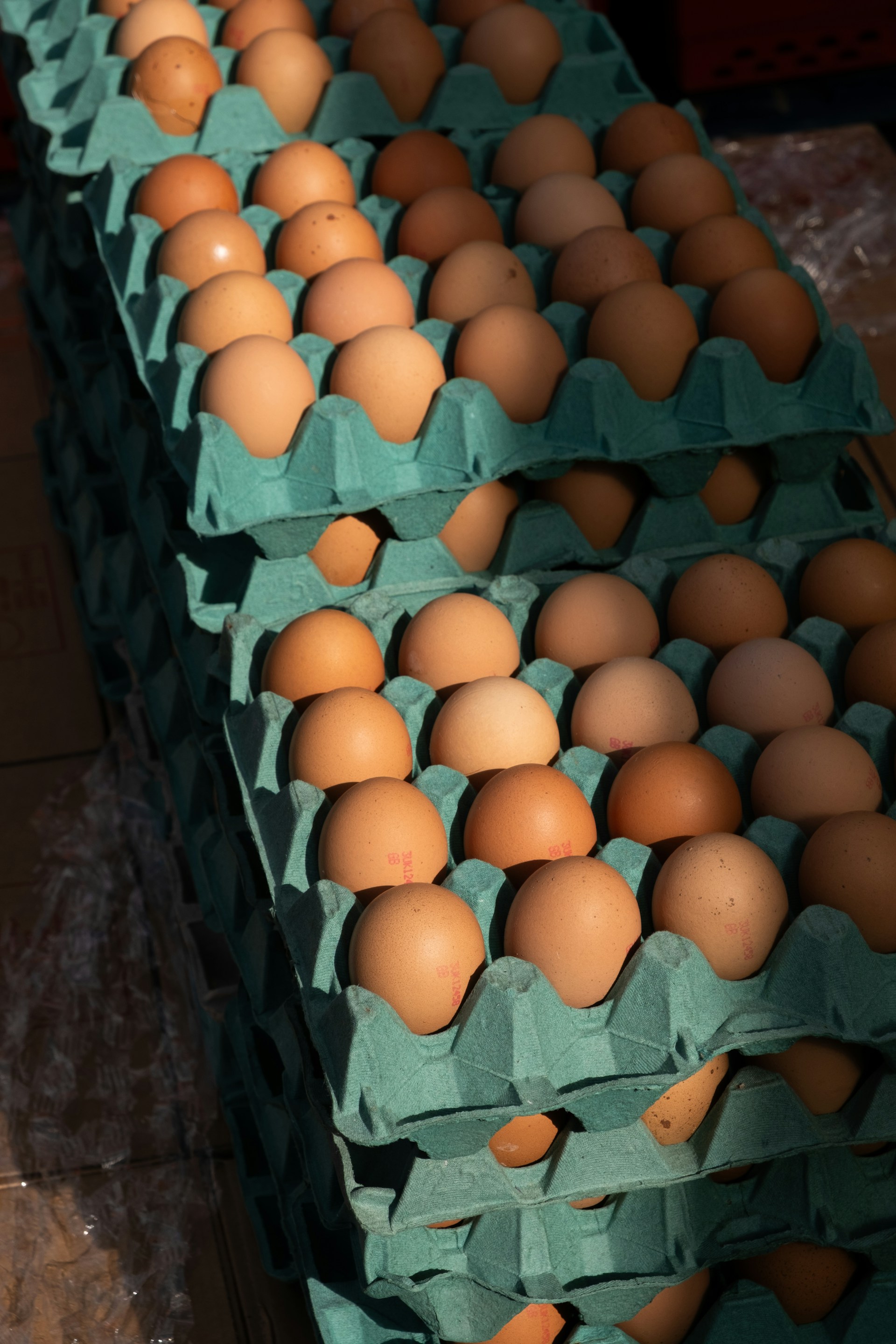 Stack of brown eggs in green cartons