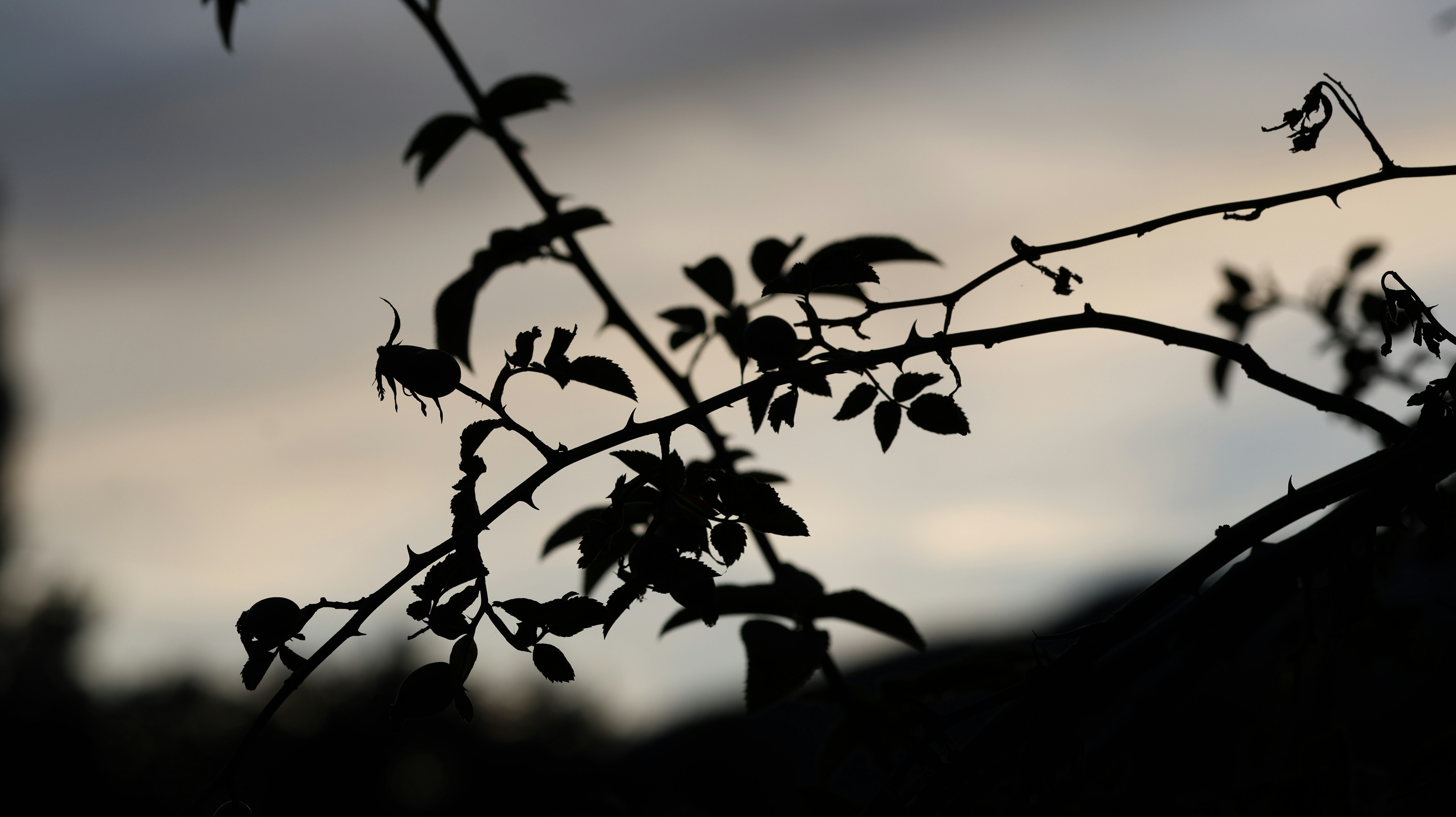 Photo by valomukitse